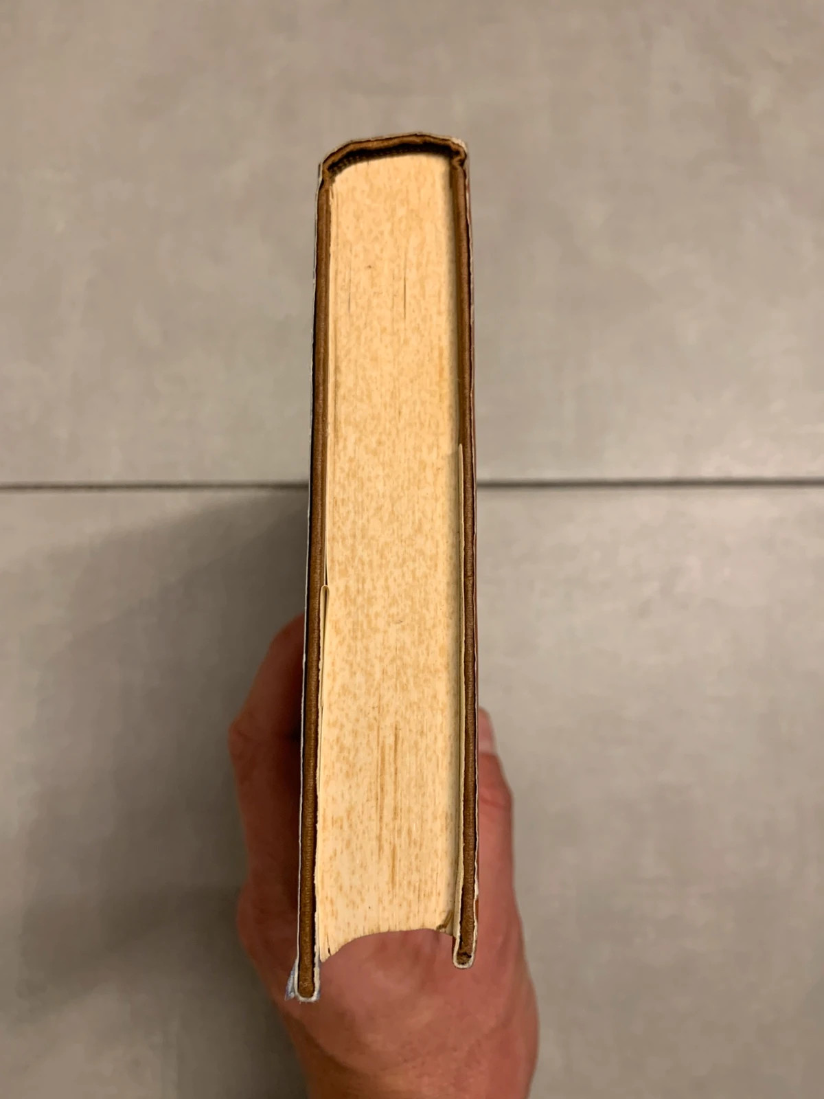 Livre Le Solitaire – Janet Dailey – France Loisirs 1982 4