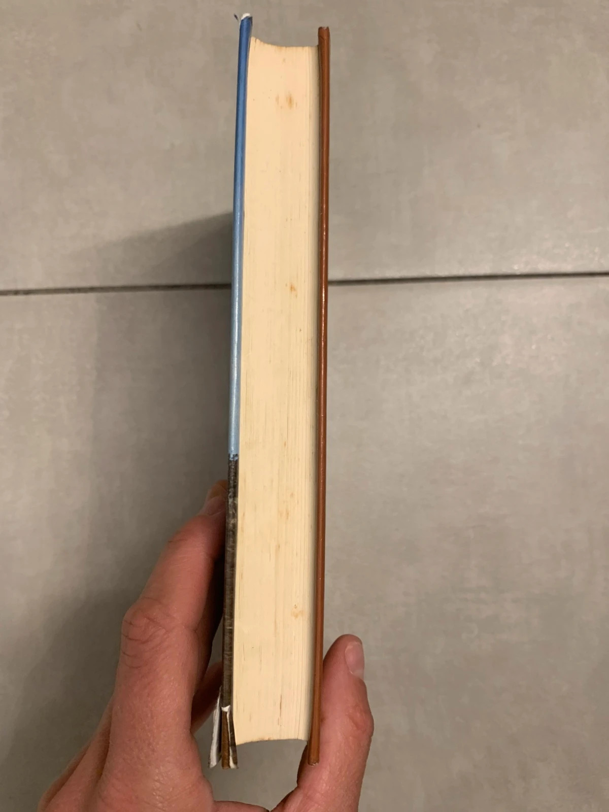Livre Le Solitaire – Janet Dailey – France Loisirs 1982 5
