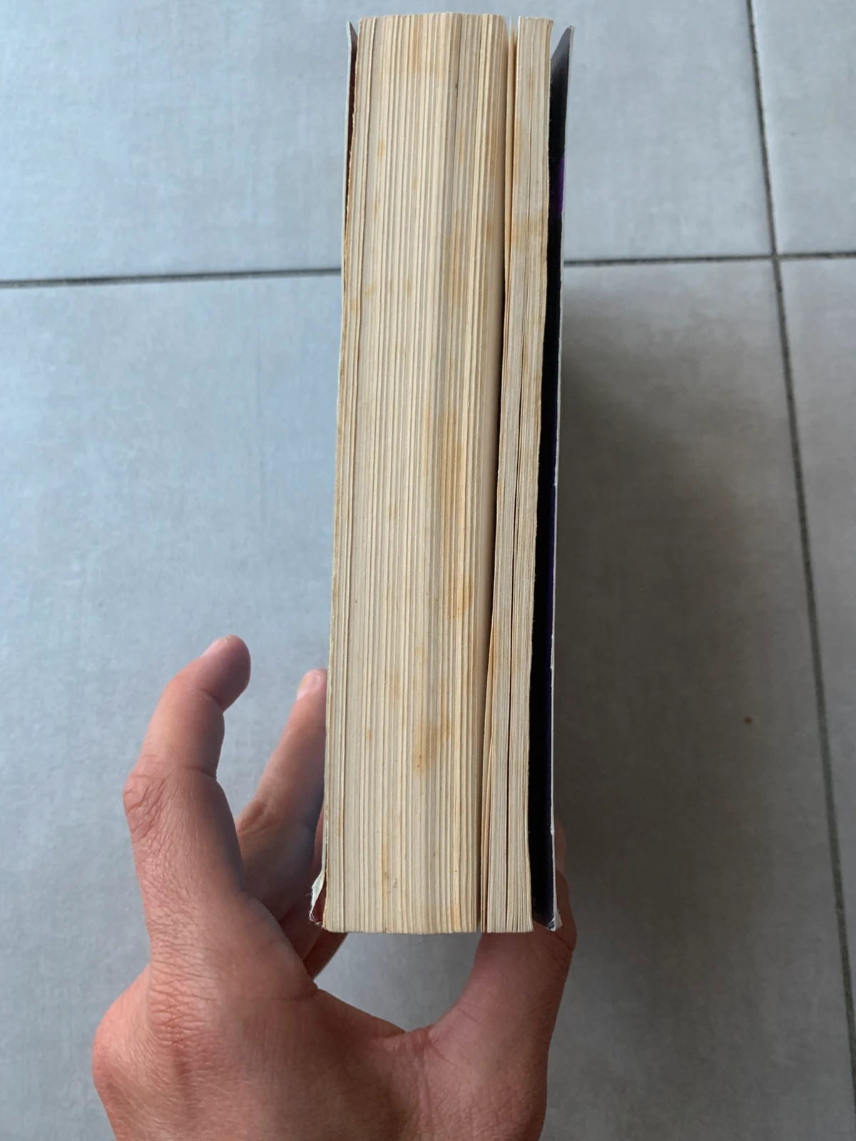 Livre À l’heure du danger / Protection troublante – Harlequin Black Rose 5