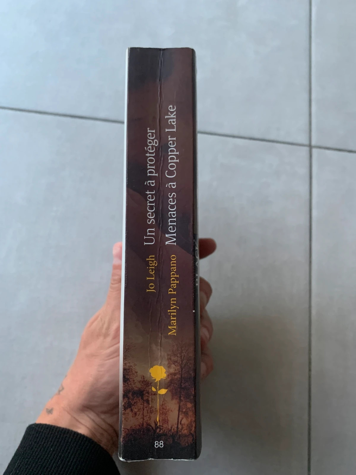 Livre Un secret à protéger / Menaces à Copper Lake – Harlequin 3