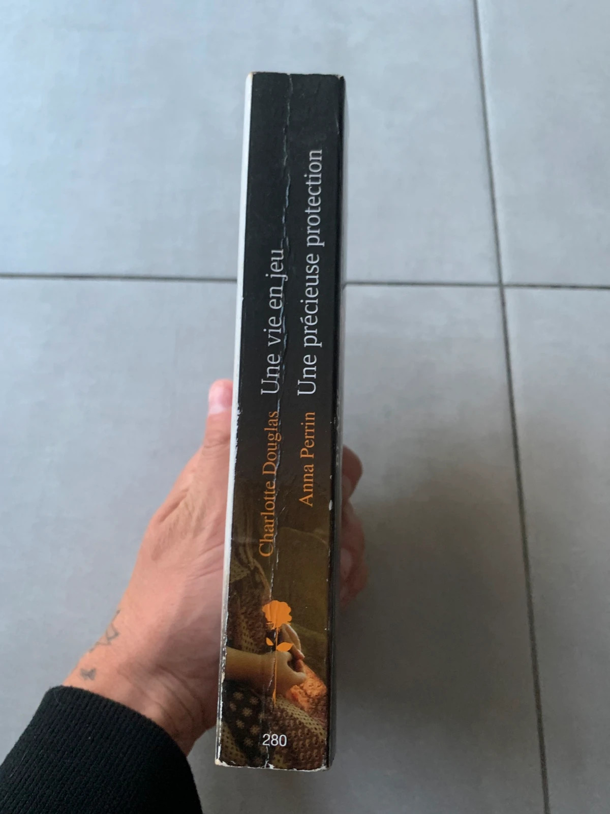 Livre Une vie en jeu / Une précieuse protection – Harlequin Black Rose 3