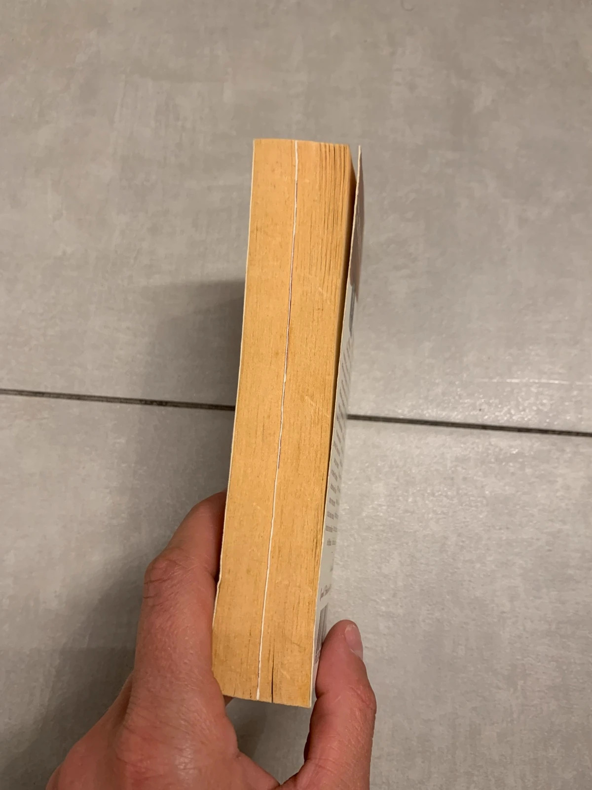 Livre Le Chevalier et l’Ondine – Ruth Langan – Harlequin 5