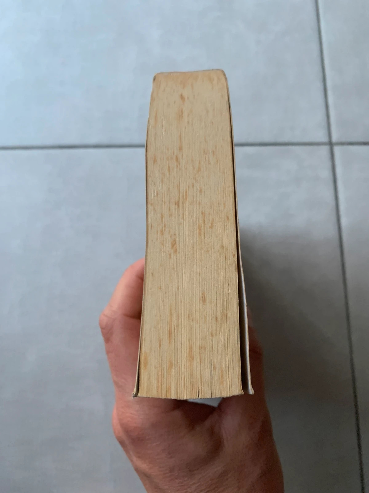 Livre Une vie en jeu / Une précieuse protection – Harlequin Black Rose 4
