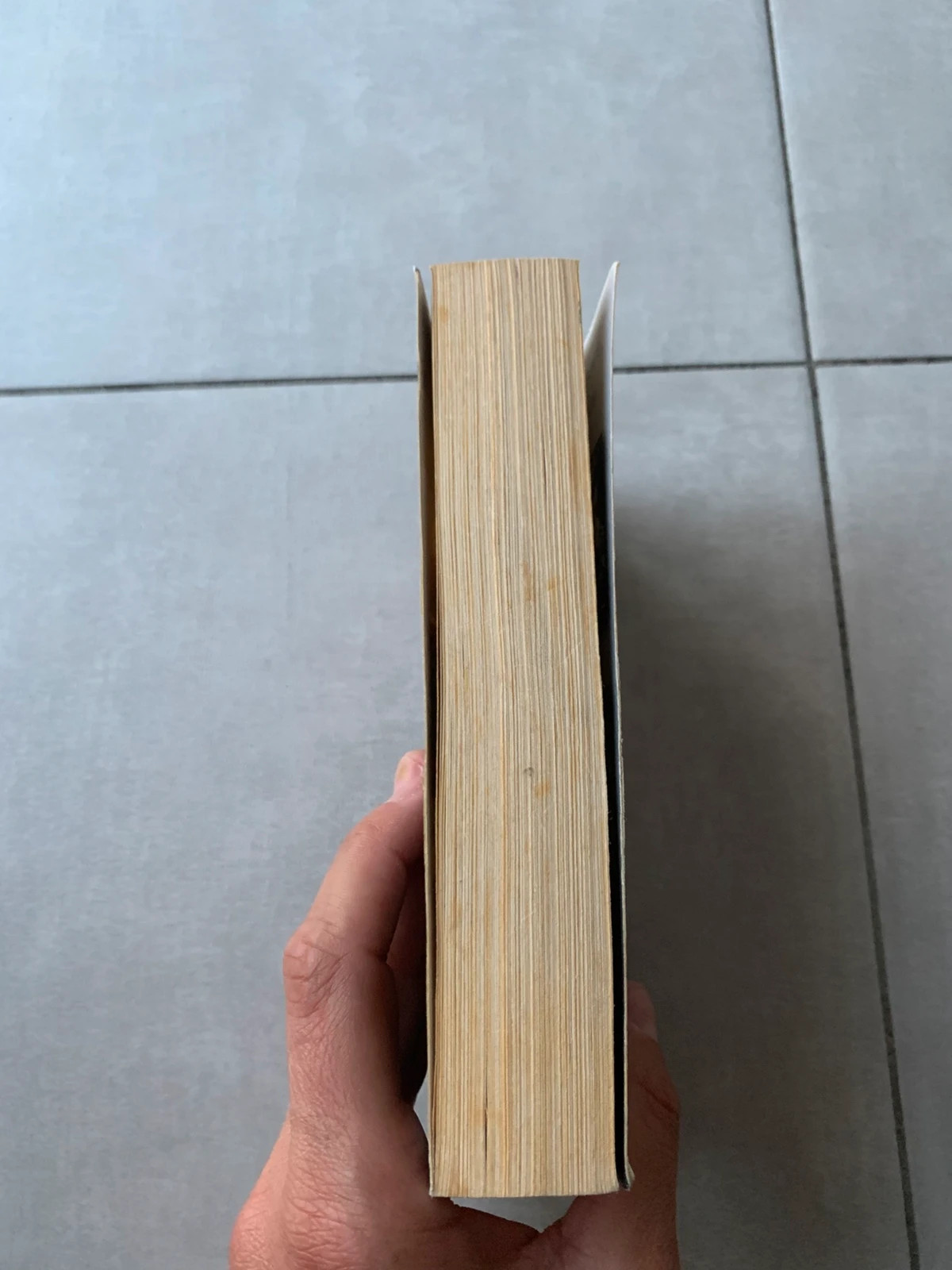 Livre Une vie en jeu / Une précieuse protection – Harlequin Black Rose 5
