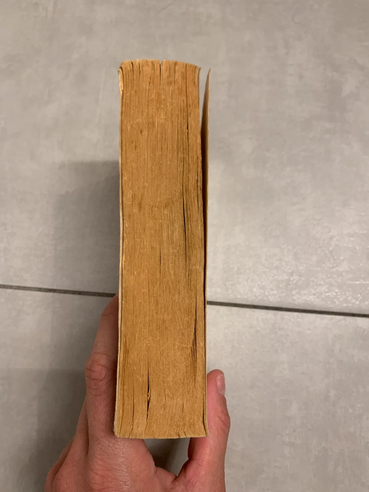 Livre Une rose en hiver – Kathleen E. Woodiwiss – J’ai Lu 5