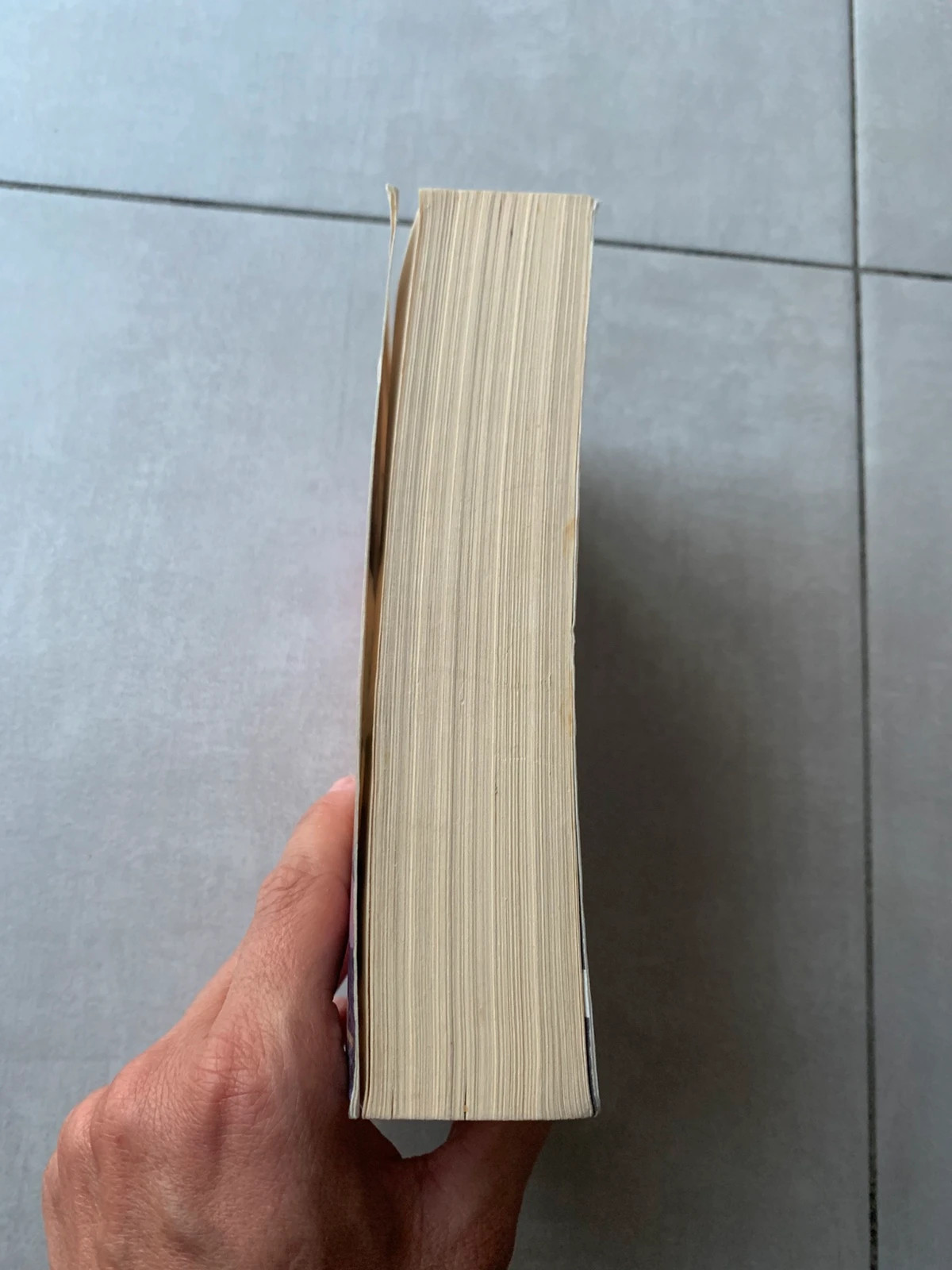 Livre La passion d’un prince / Sur les rives du désir – Harlequin Passions 5
