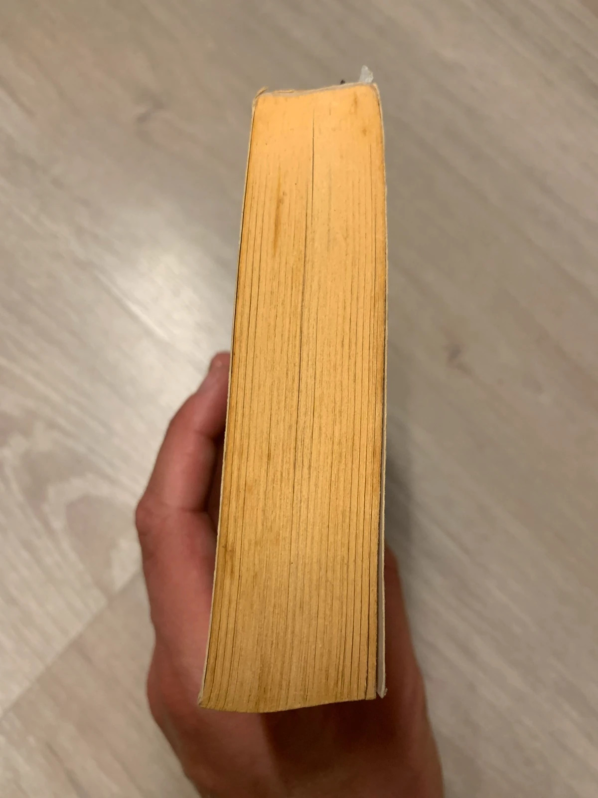 Livre Vengeance et séduction – Candace Camp – Harlequin Les Historiques 4