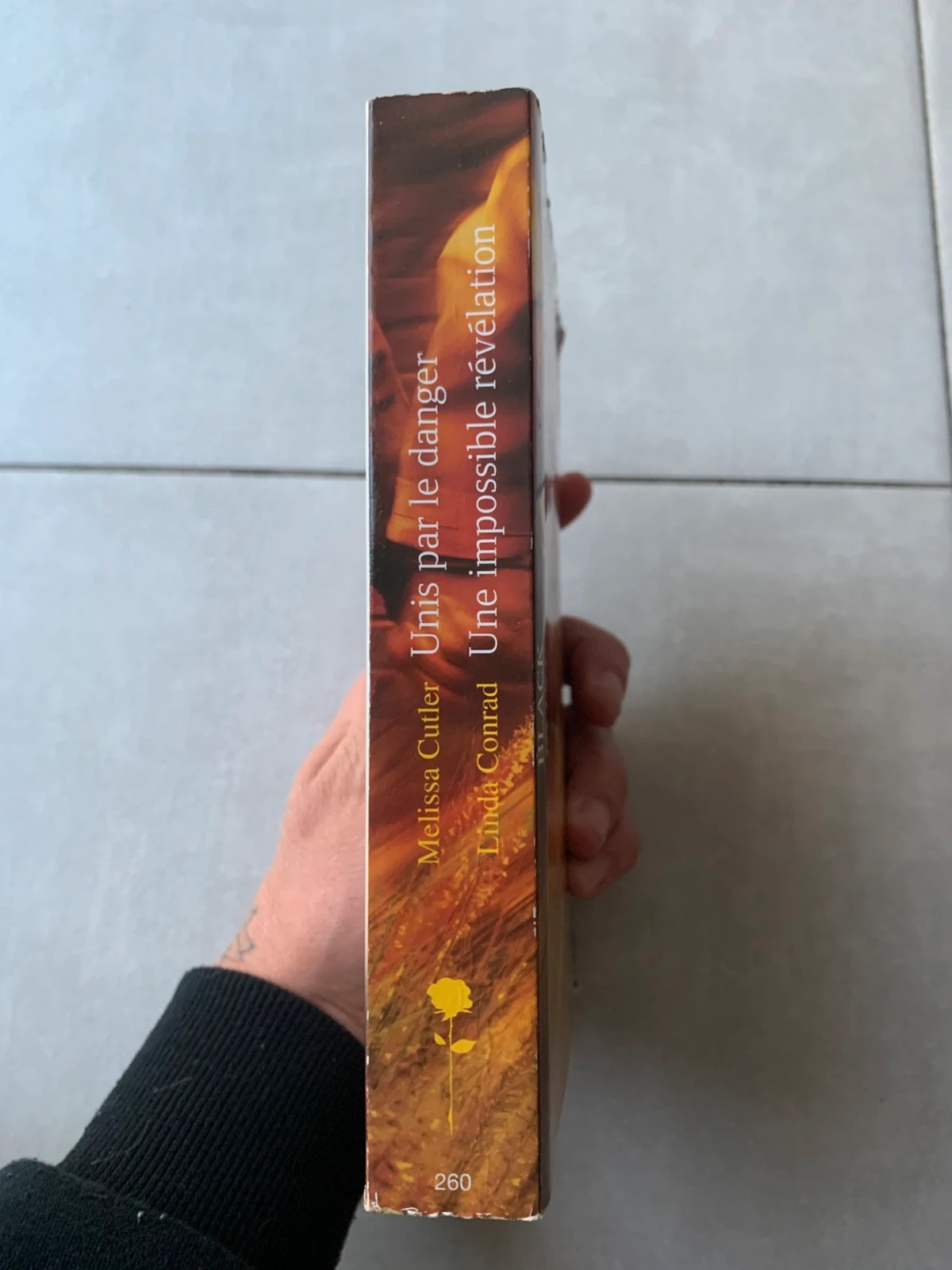 Livre Unis par le danger / Une impossible révélation – Harlequin Black Rose 3