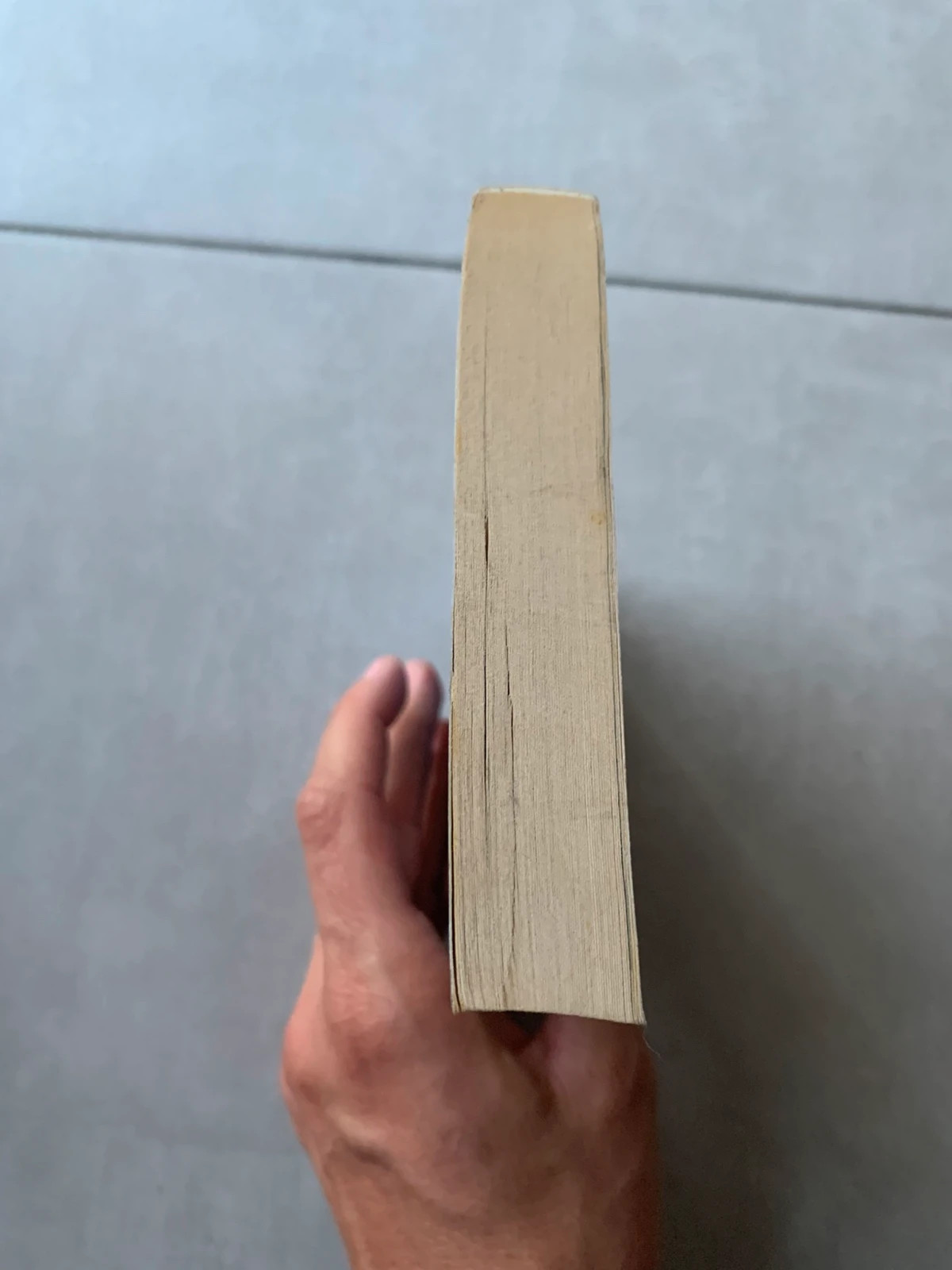 Livre La puissance du loup – Cynthia Cooke – Harlequin Nocturne 4