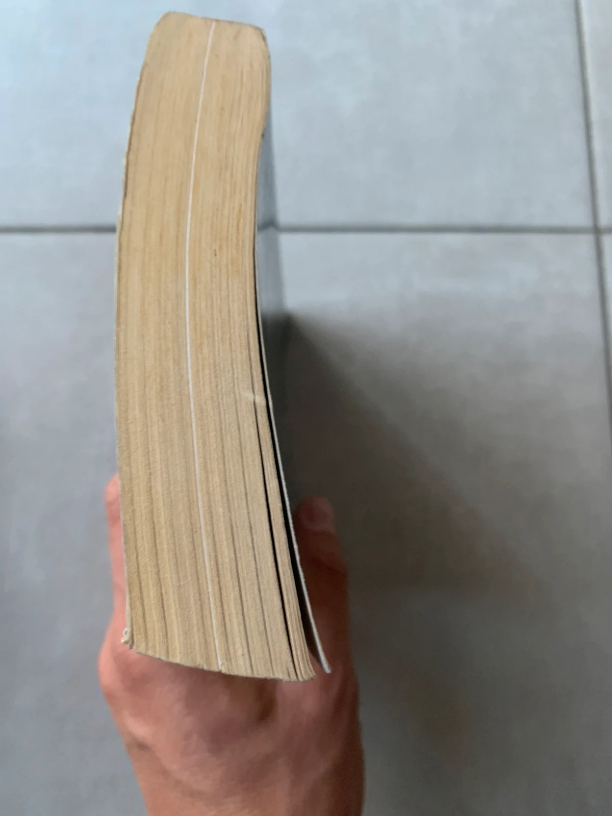 Livre Briana la rebelle – Ruth Langan – Harlequin Les Historiques 4