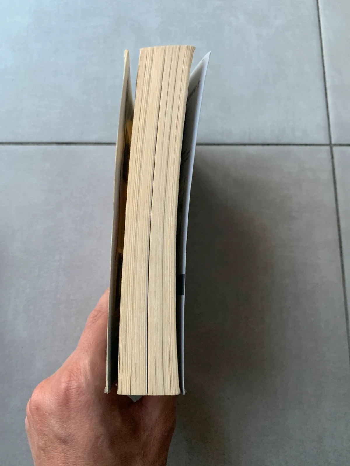 Livre Briana la rebelle – Ruth Langan – Harlequin Les Historiques 5