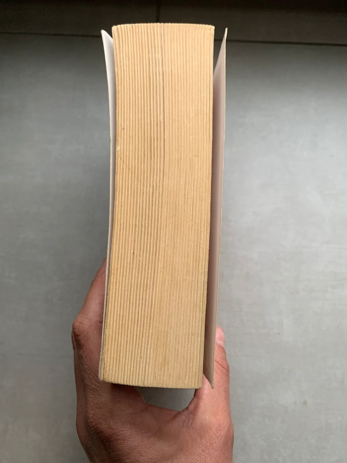 Livre Le Club des Menteurs – Celeste Bradley – 2 romans 5
