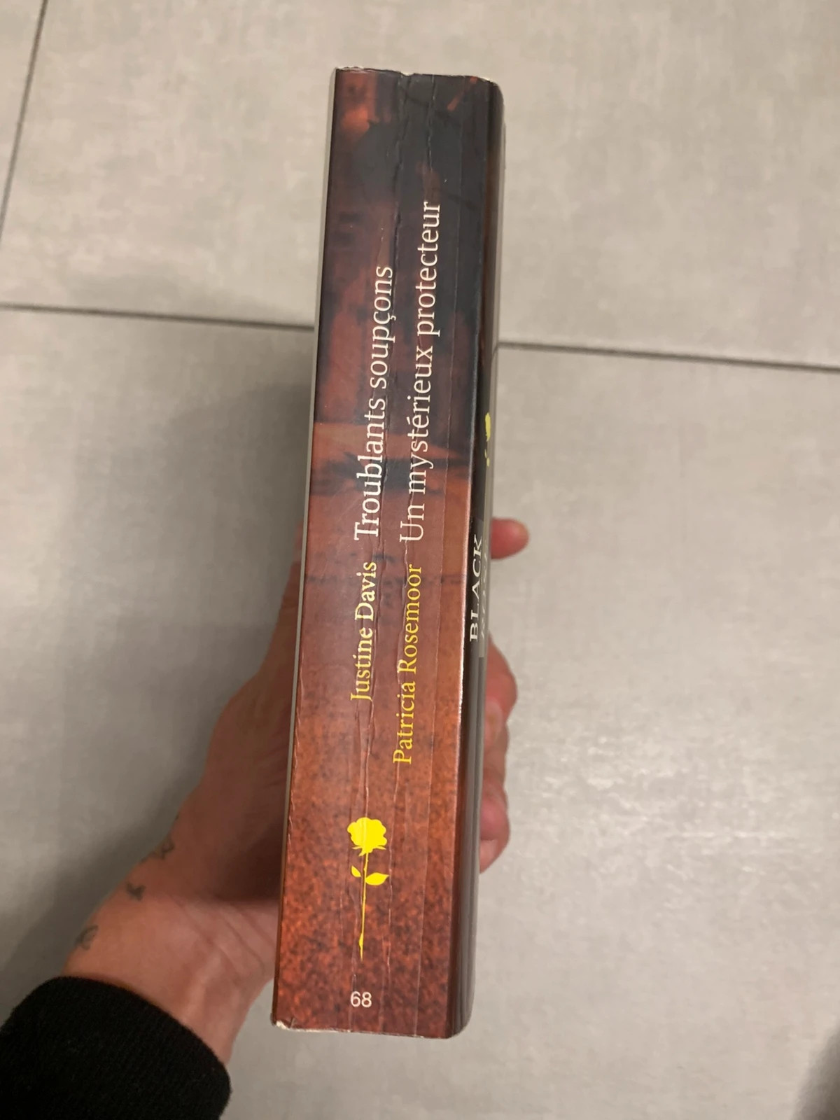 Livre Troublants soupçons / Un mystérieux protecteur – Harlequin Black Rose 3