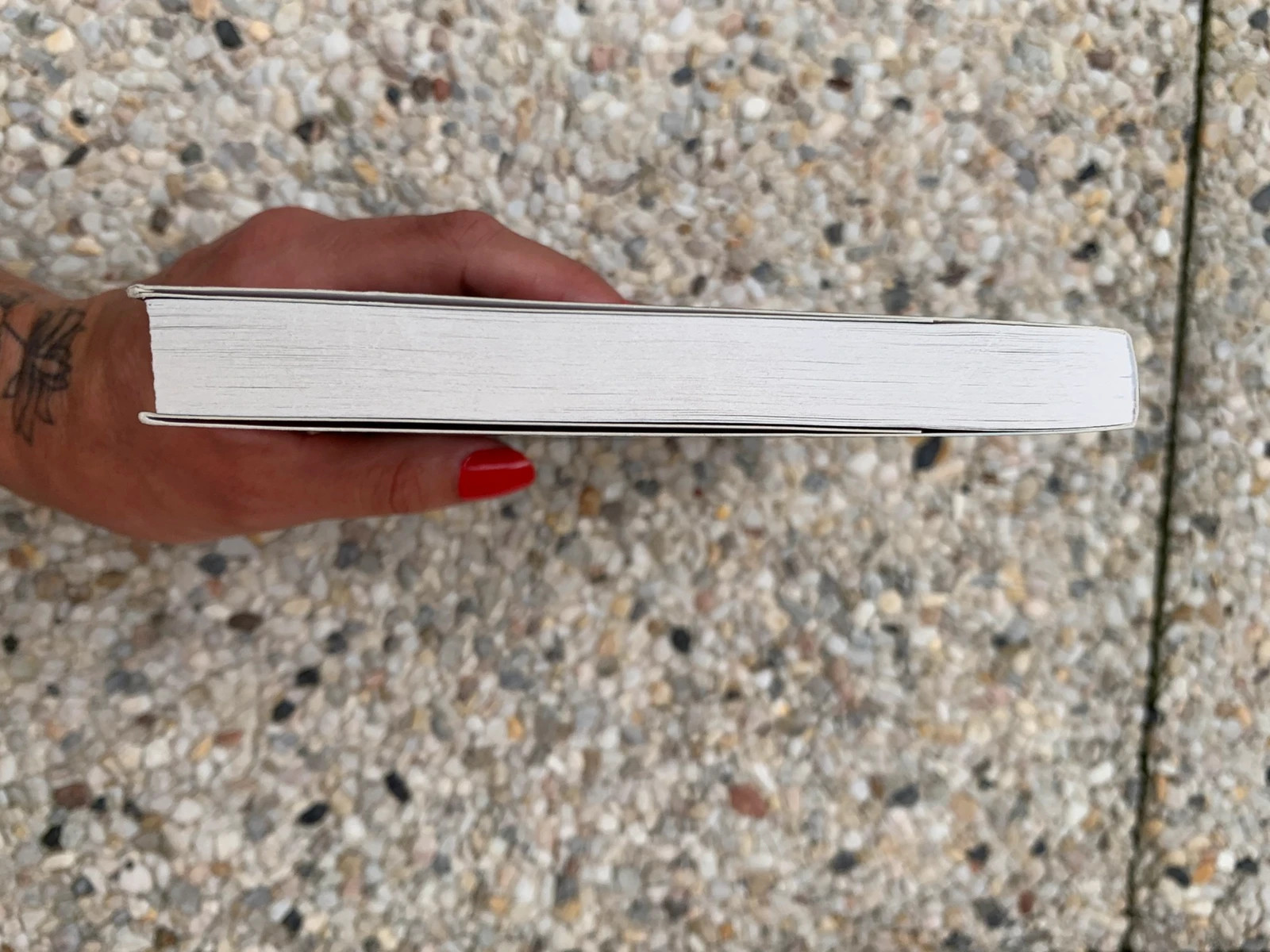 Livre Raiponce – L. P. Sicard – Les Contes Interdits 4