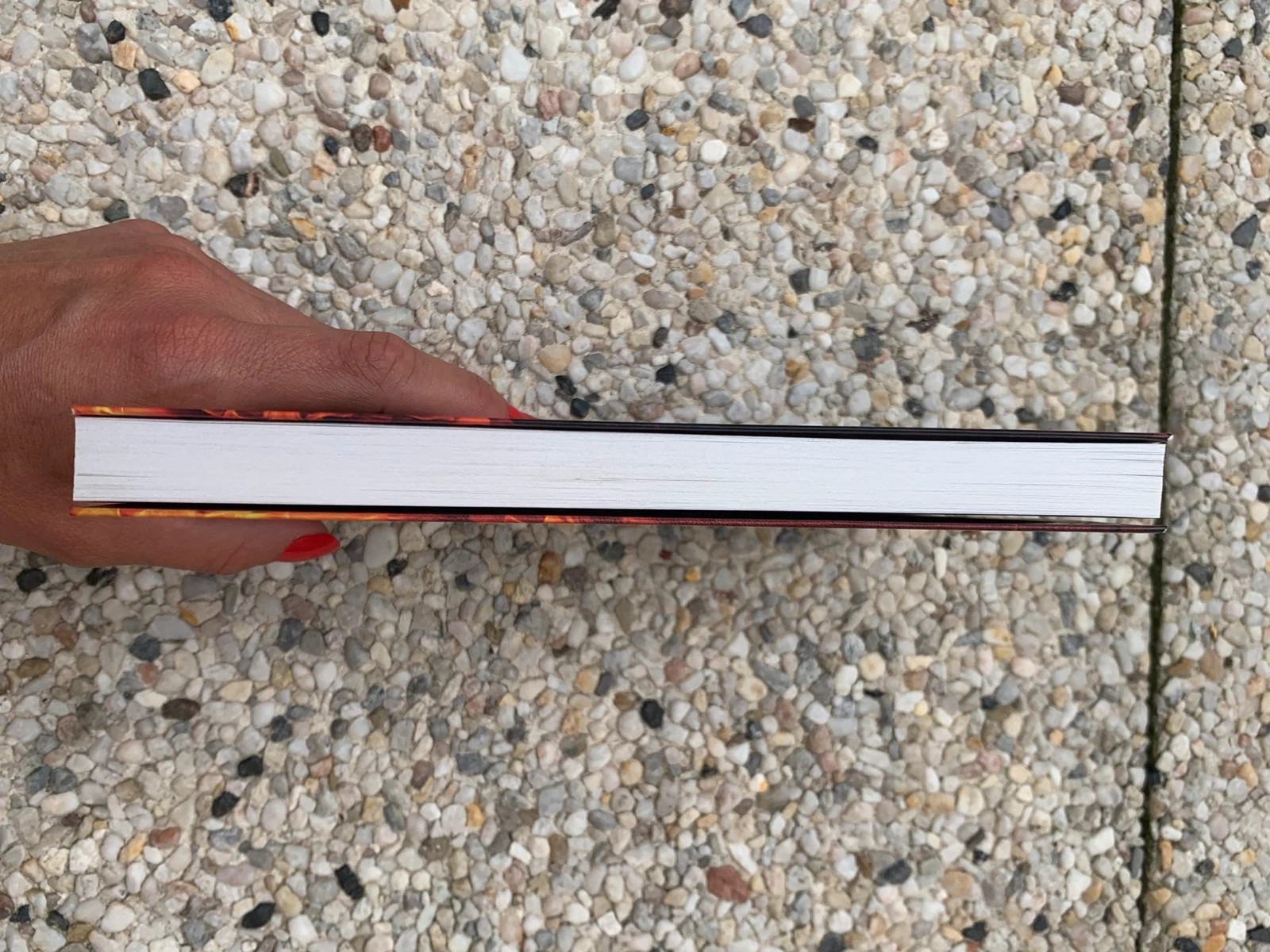 Livre Raiponce – L. P. Sicard – Les Contes Interdits 5