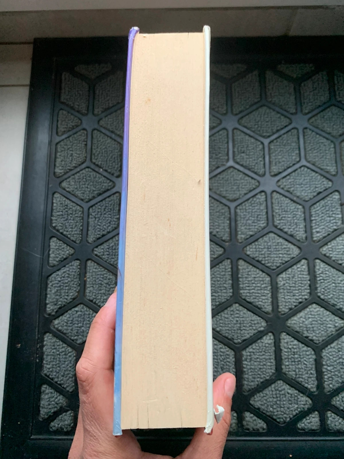 Le Feu et la glace – Rosemary Rogers – édition reliée 1980 5