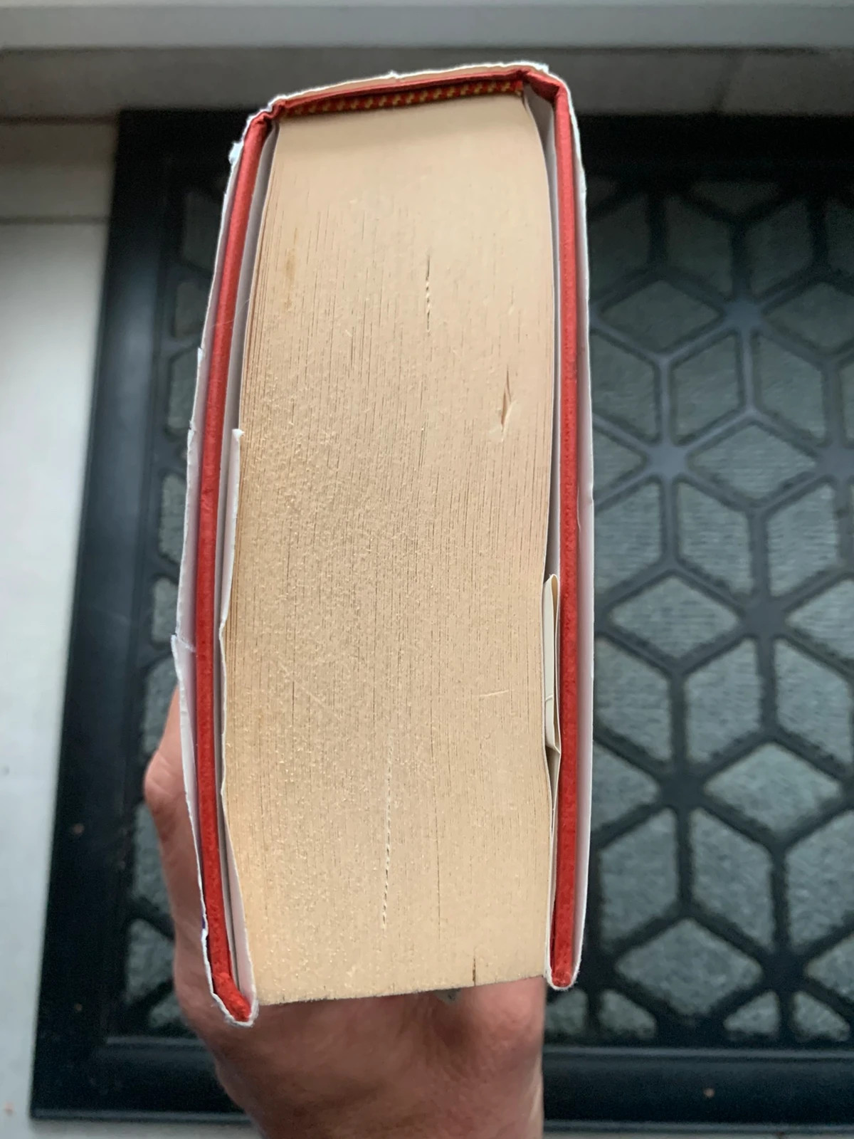 Le Feu et la glace – Rosemary Rogers – édition reliée 1980 4