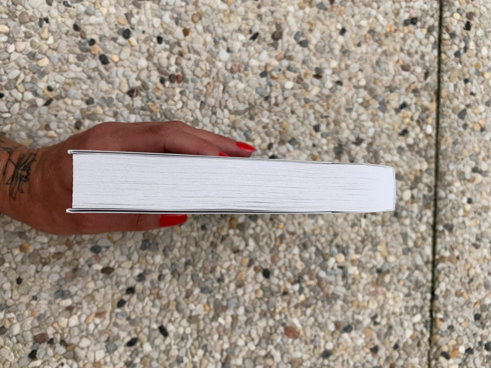 Livre La Petite Sirène – Sylvain Johnson – Les Contes Interdits 4