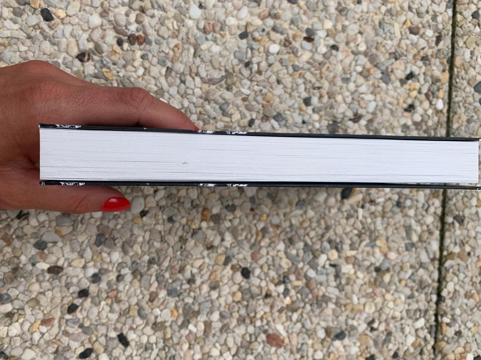 Livre La Petite Sirène – Sylvain Johnson – Les Contes Interdits 5