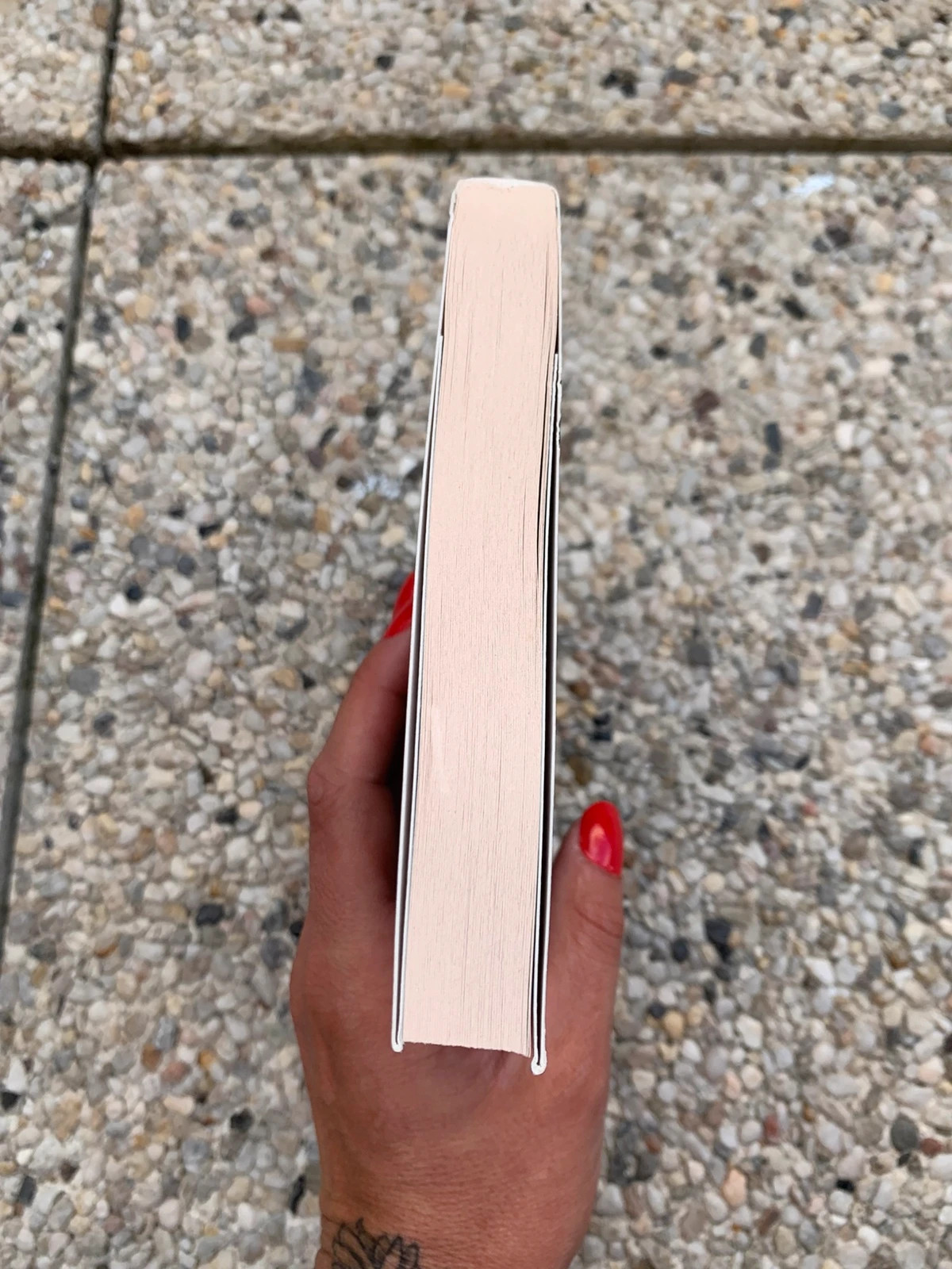 Livre Rumpelstiltskin – Maude Rückstühl – Les Contes Interdits 4