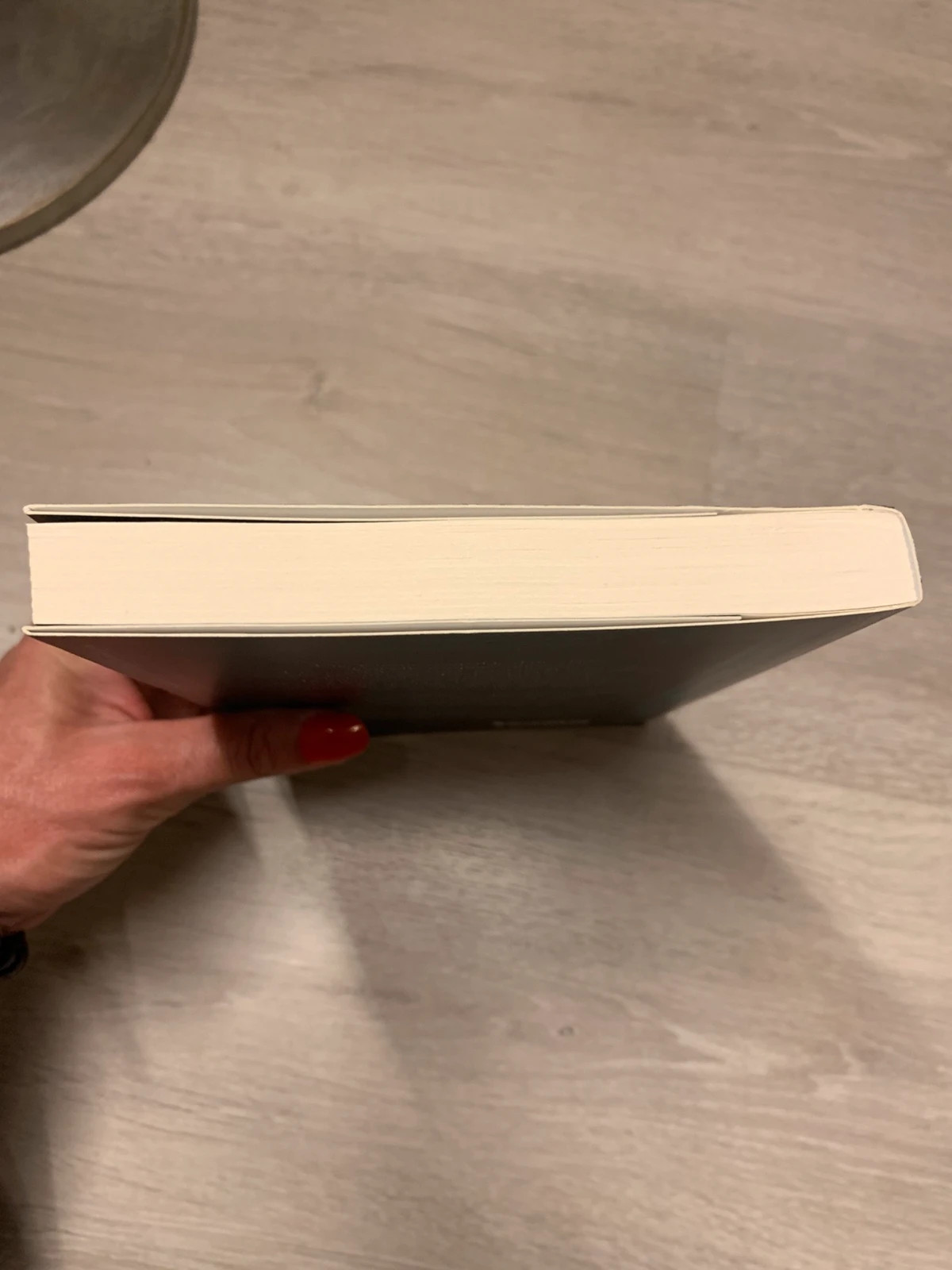 📚 Livre Blanche-Neige – L.P. Sicard – Les Contes Interdits 4