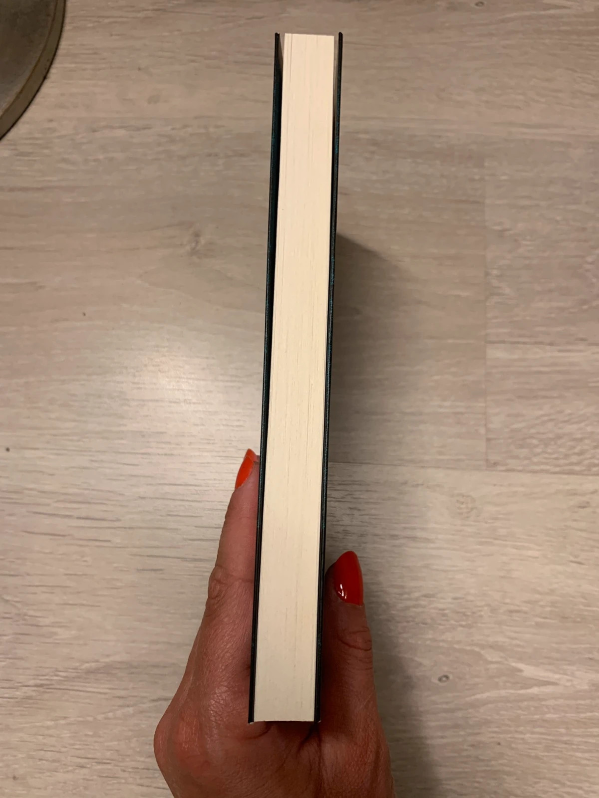 📚 Livre Blanche-Neige – L.P. Sicard – Les Contes Interdits 5