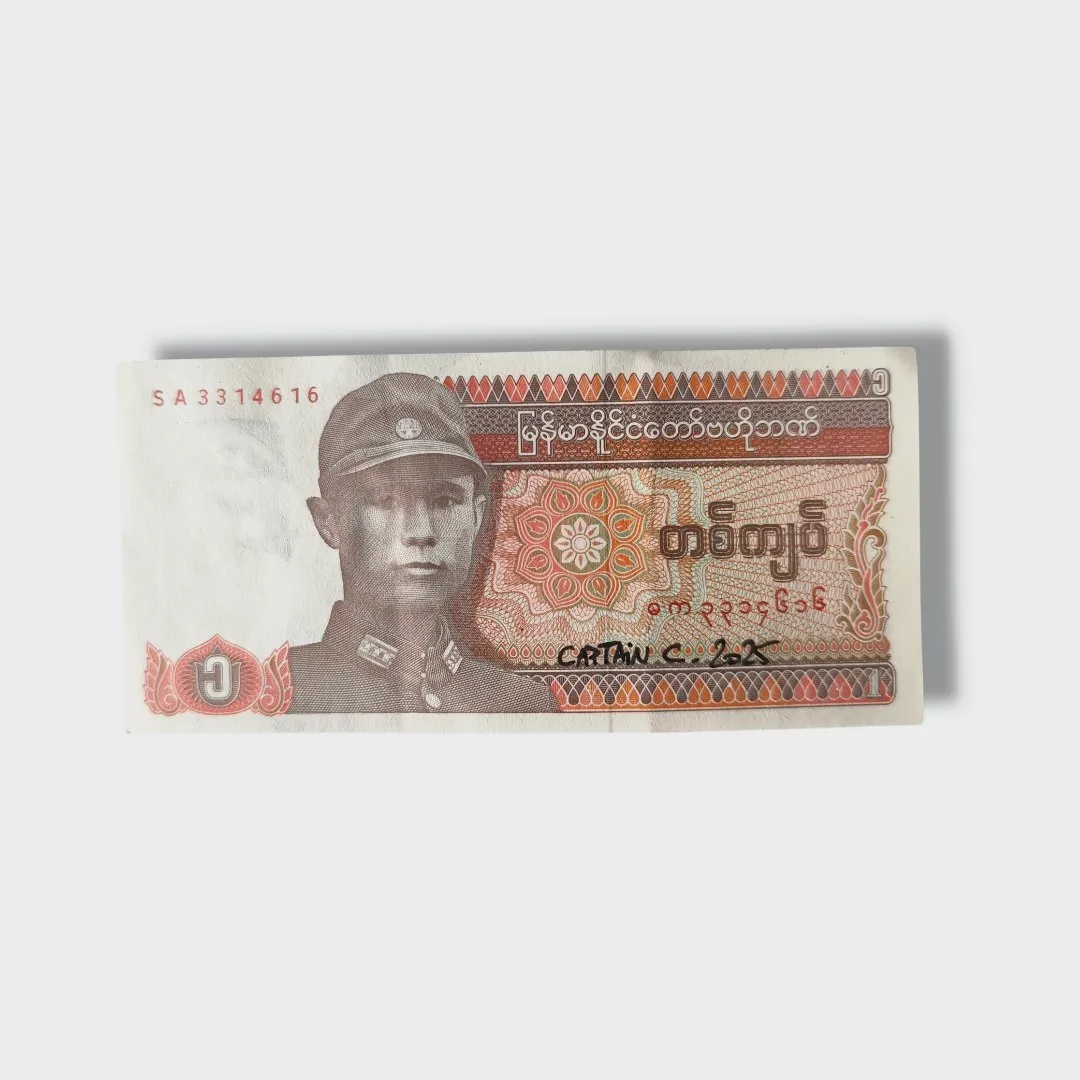 Billet Custom – Goku / Labubu (1 Kyat du Myanmar) – CAPTAIN CUSTOM 3