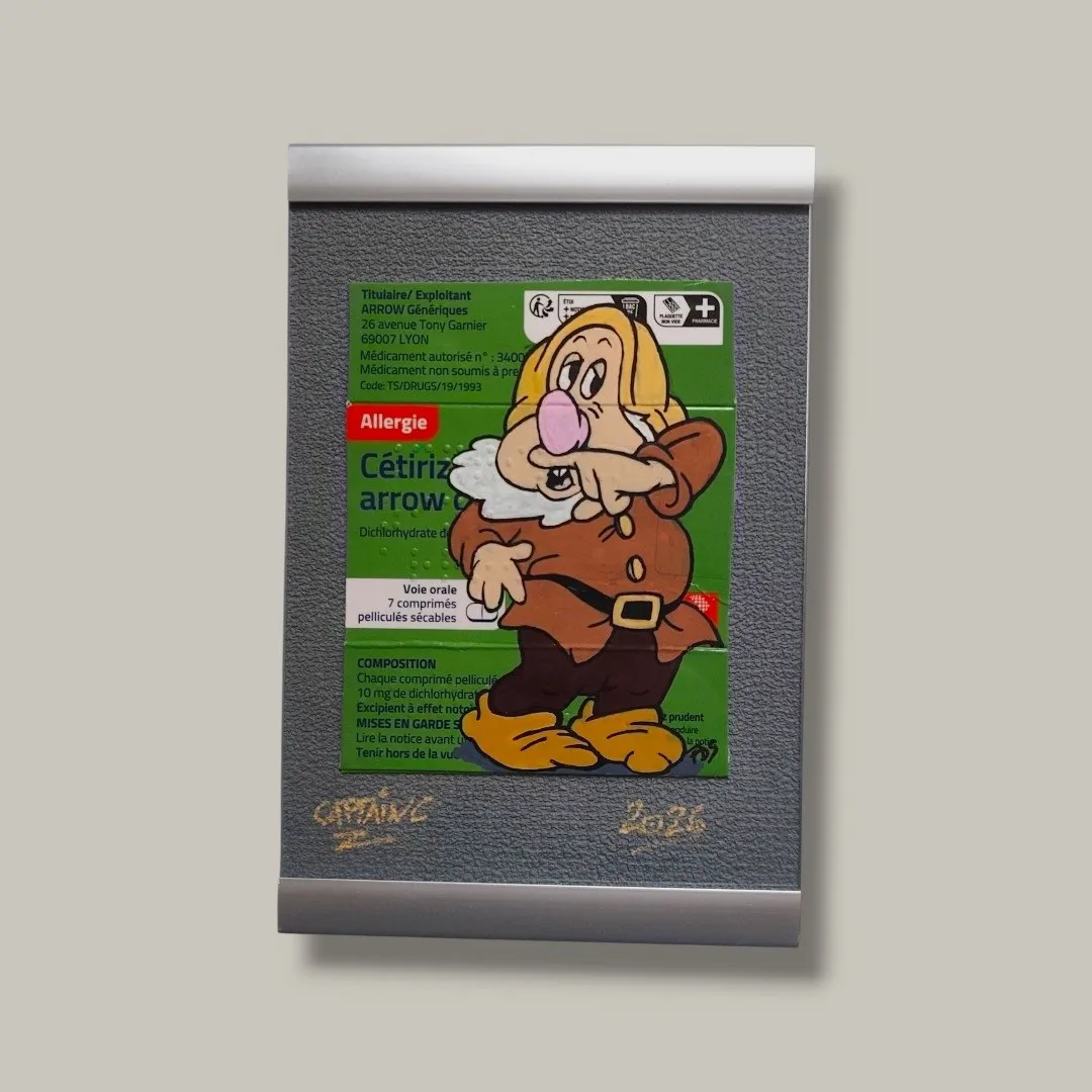 Emballage Custom – Atchoum / Blanche-Neige (Boîte Cétirizine Allergie) – CAPTAIN CUSTOM 3
