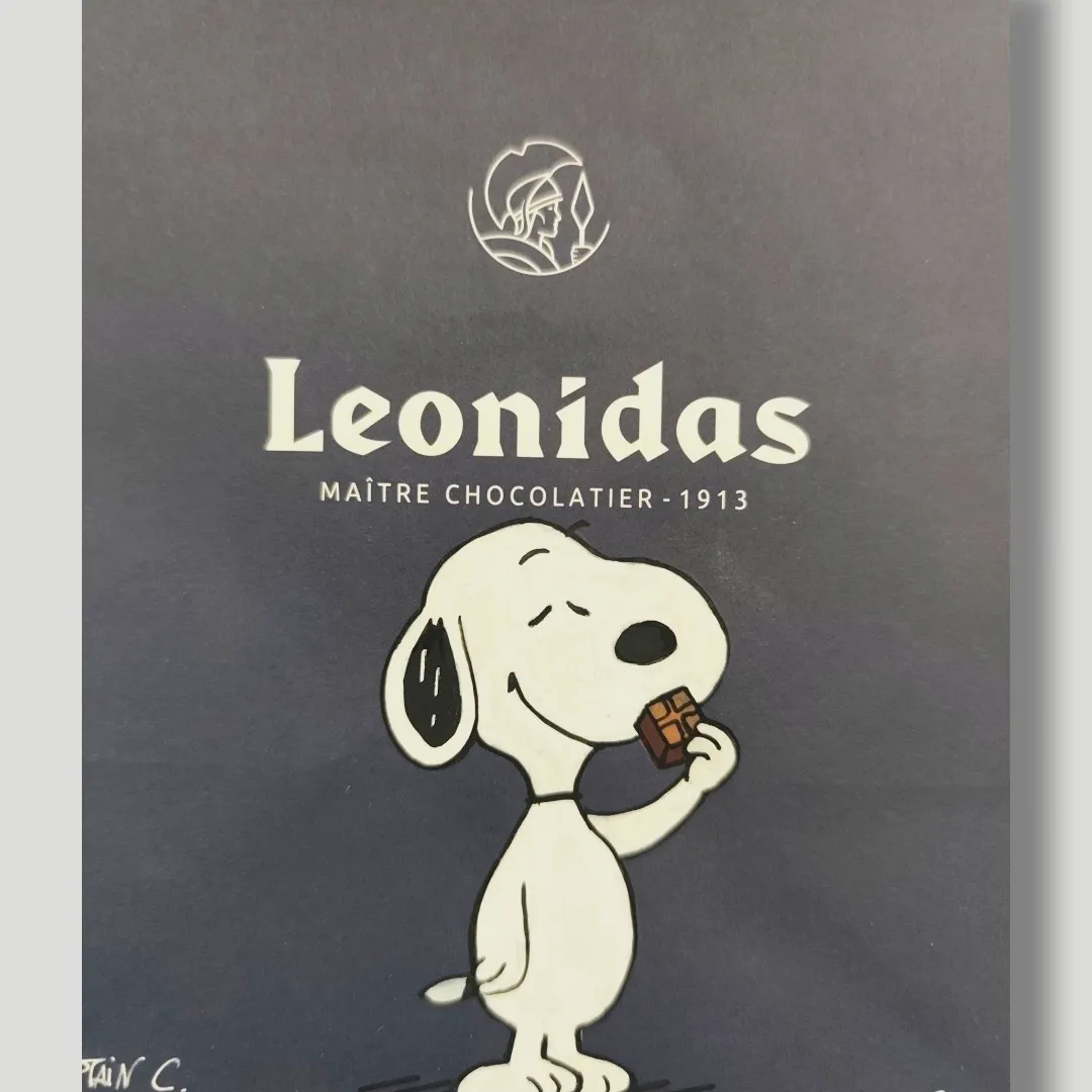 Sac Custom – Snoopy / Peanuts (Sac Shopping Leonidas) – CAPTAIN CUSTOM 4