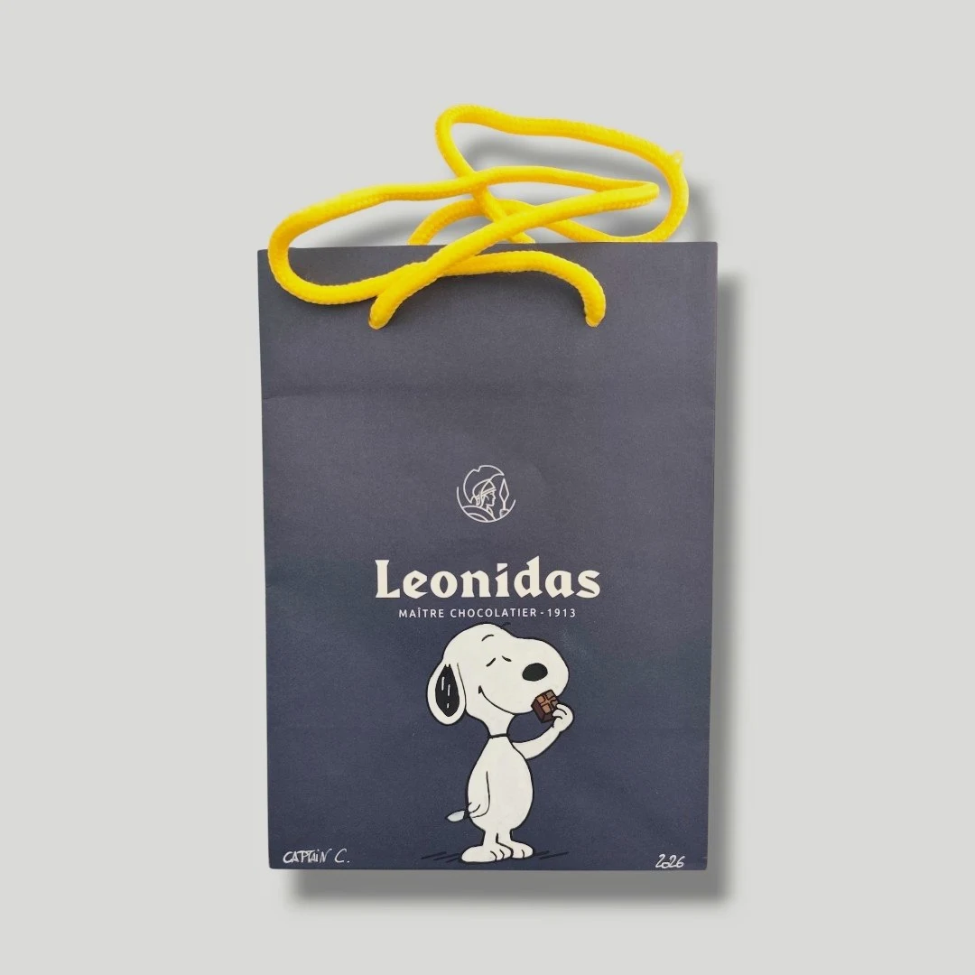 Sac Custom – Snoopy / Peanuts (Sac Shopping Leonidas)