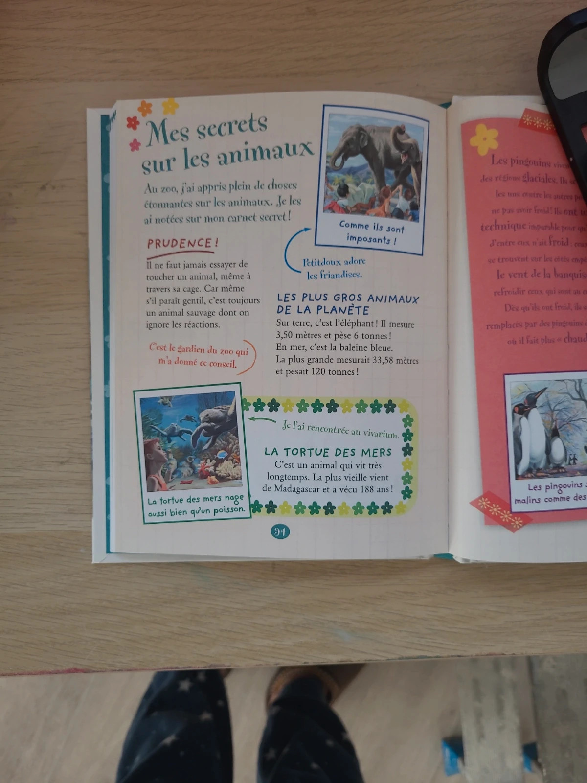 Livre neuf Martine 3