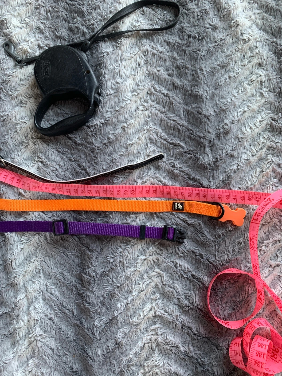 Correa de perro pequeño + collares – taille S 2