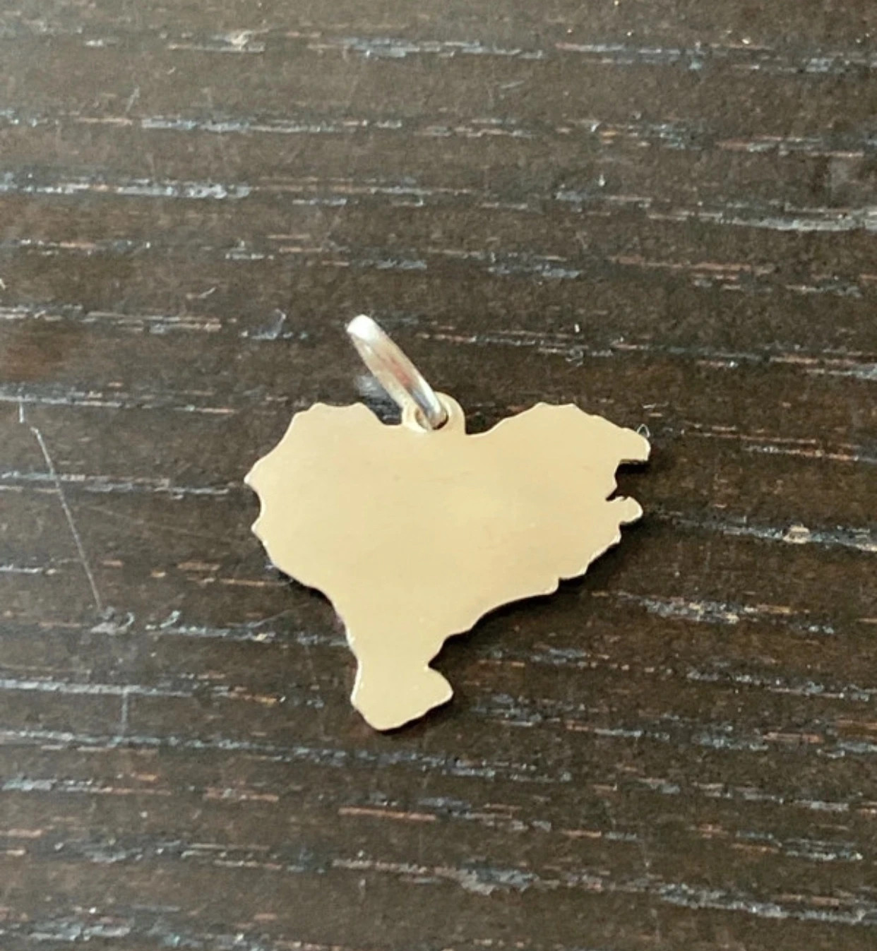 Colgante plata mapa 2