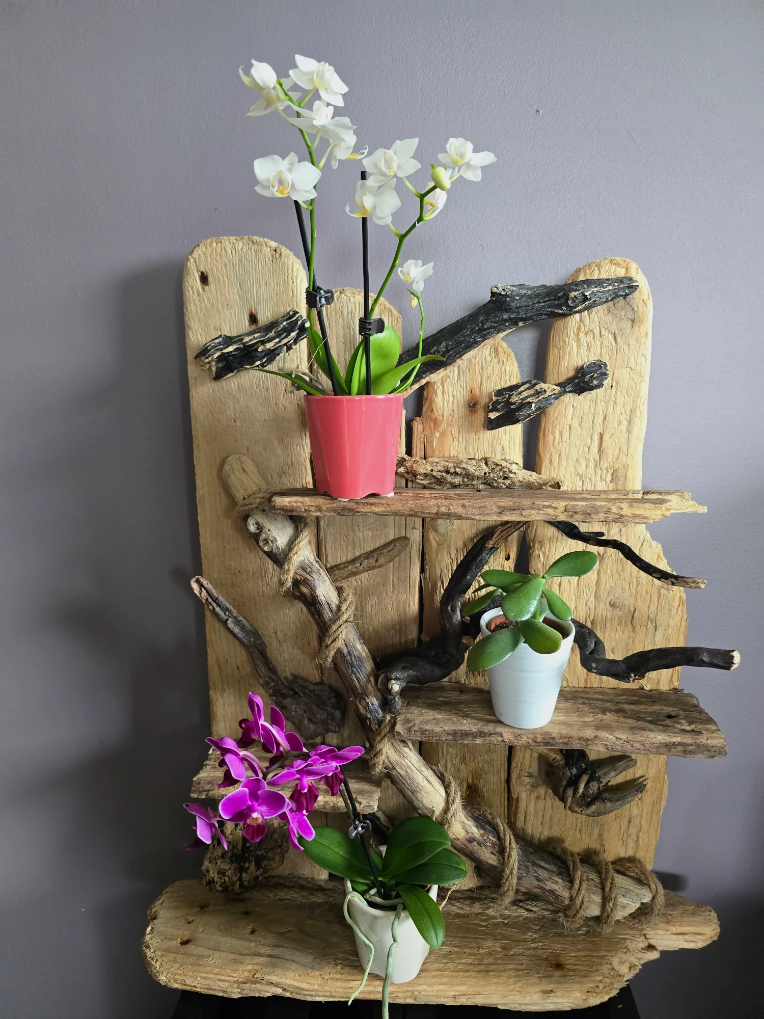 Étagère en bois flotté 