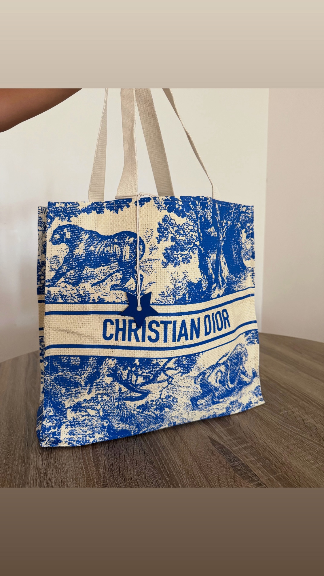 Tote bag Dior 