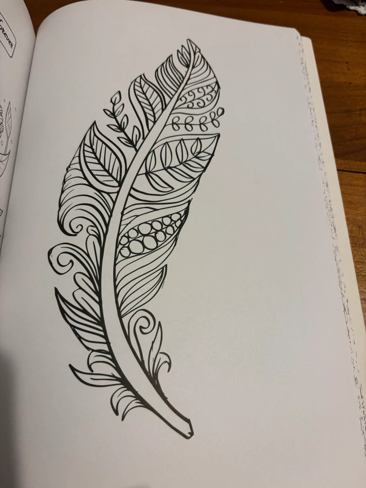 Grand livre de coloriage DecoTime 2