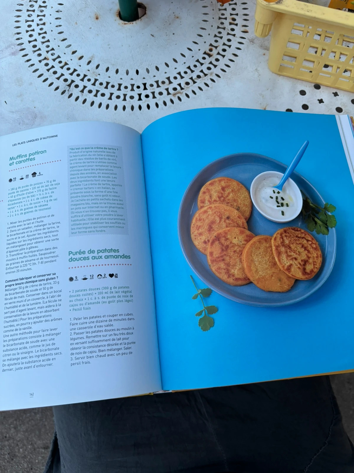 Une année vegan – 300 recettes avec la fée Stéphanie 4
