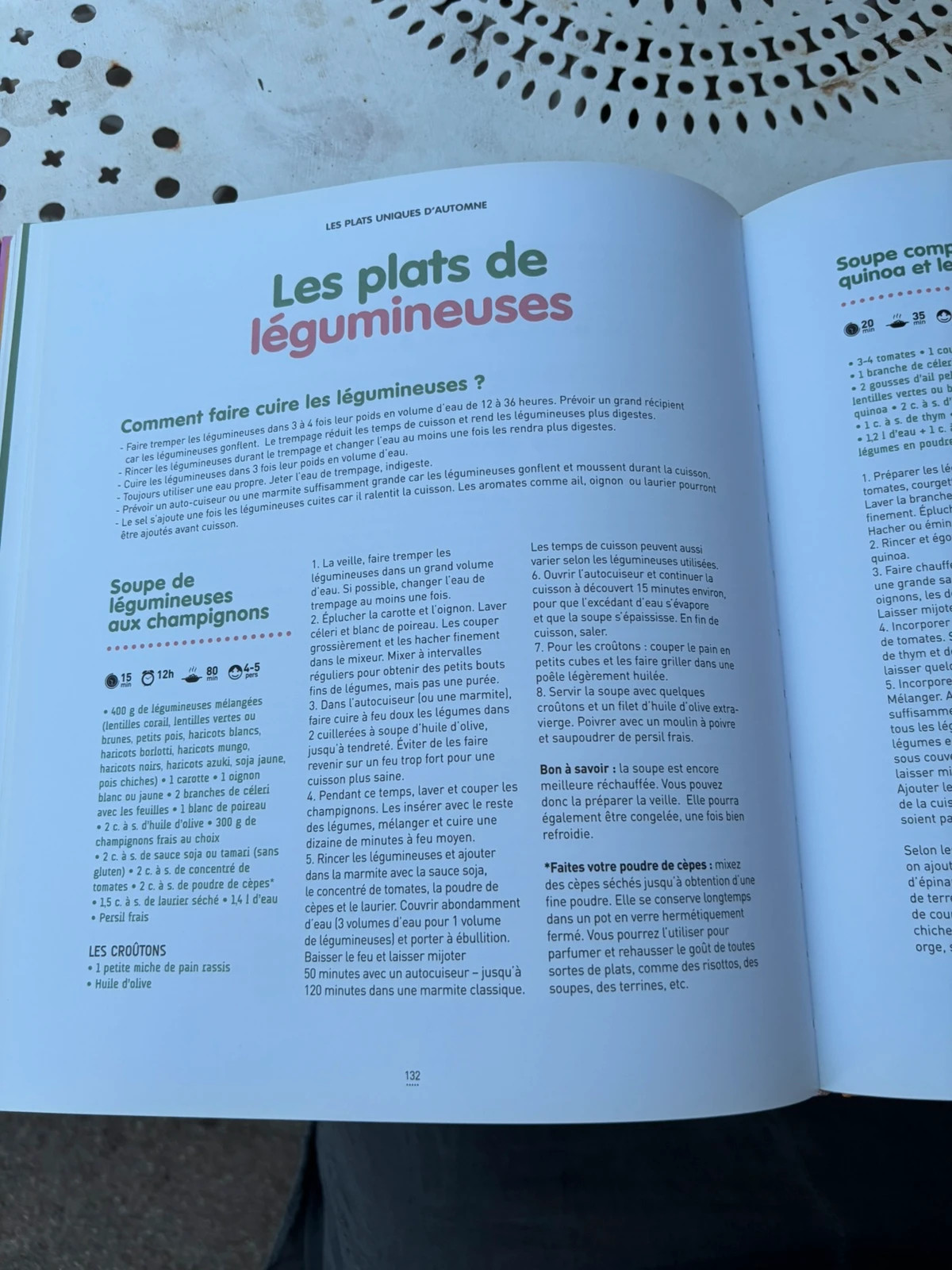 Une année vegan – 300 recettes avec la fée Stéphanie 5