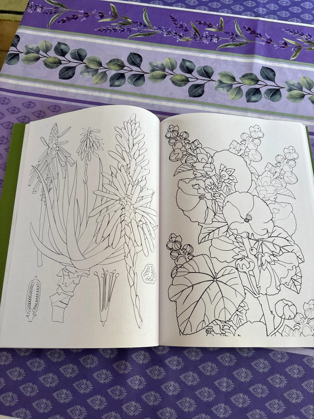 Livre coloriage adulte Art-thérapie 4