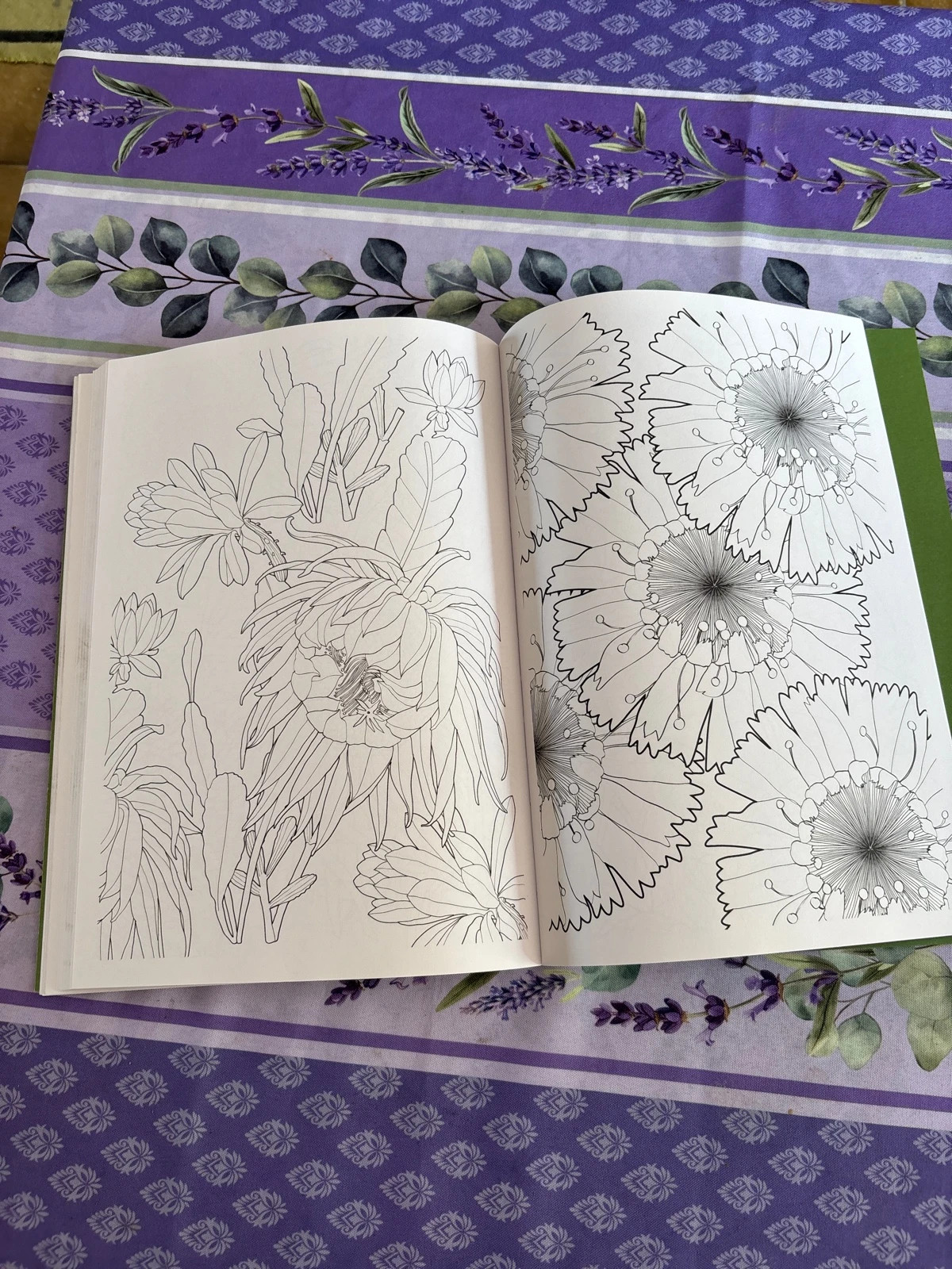 Livre coloriage adulte Art-thérapie 5