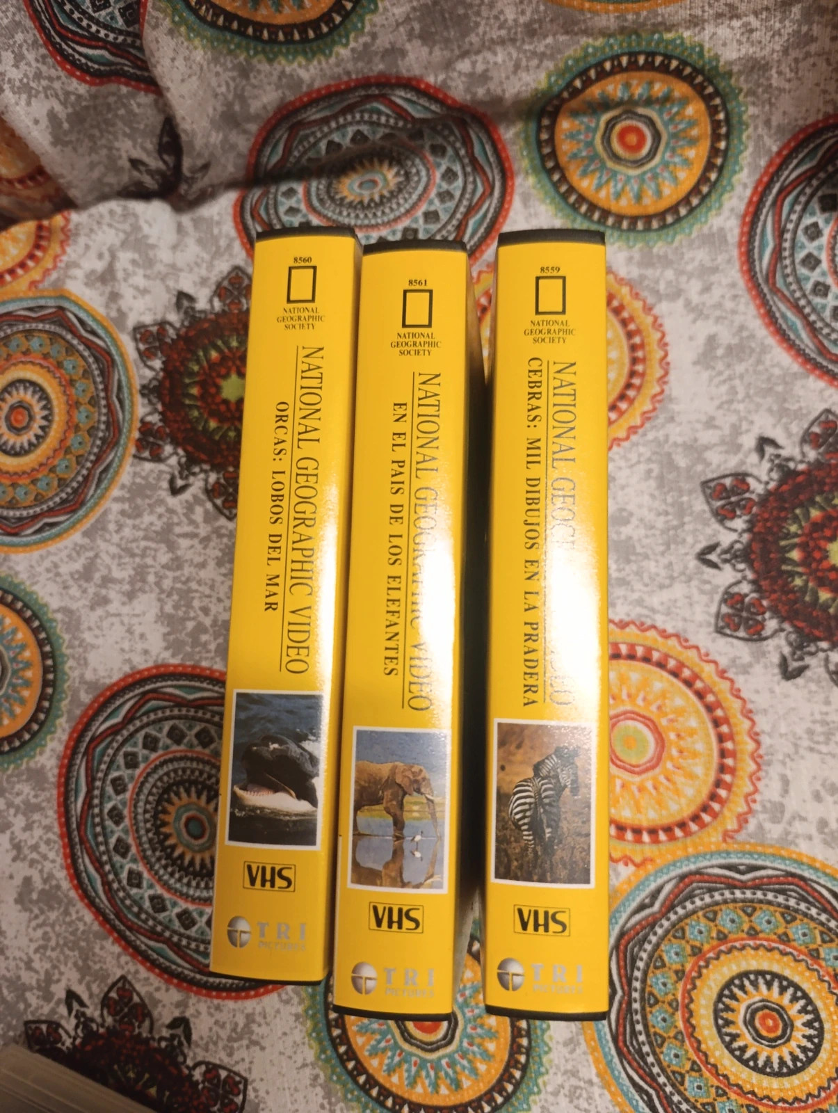Colección VHS National Geographic 4
