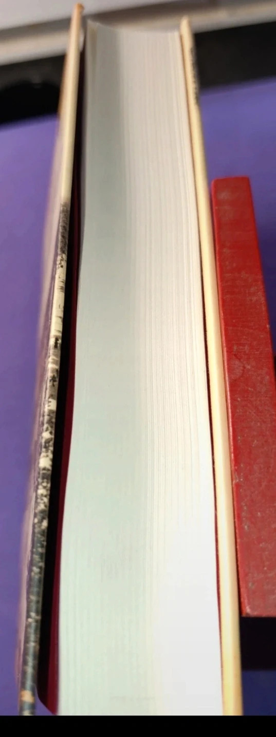 Libro Els Ambaixadors – Albert Villaro 5