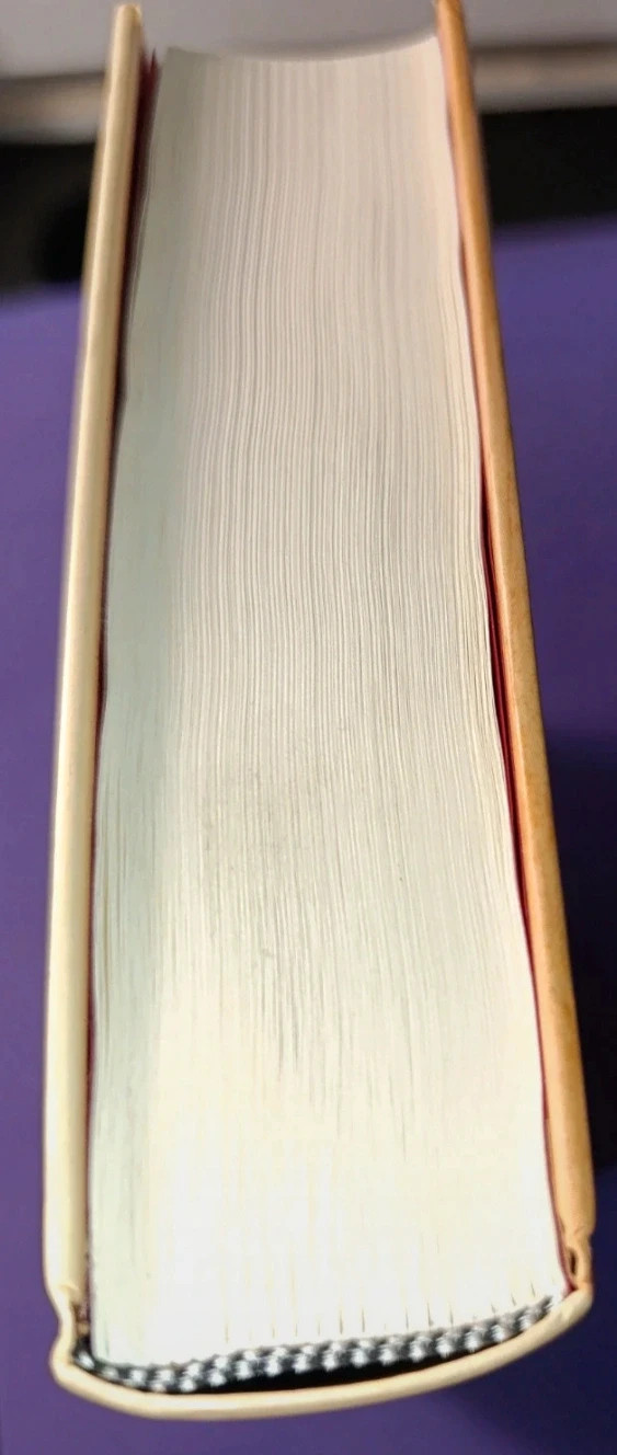 Libro Els Ambaixadors – Albert Villaro 4