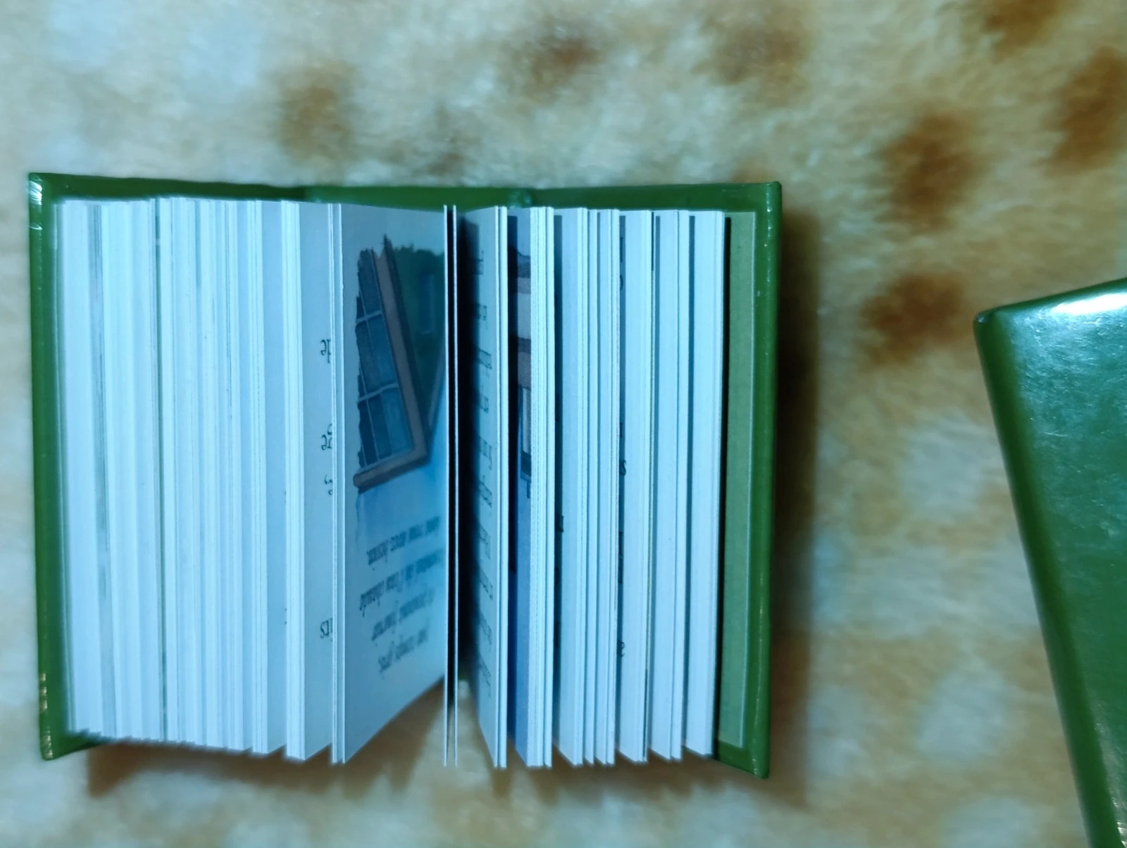 Le Petit Livre Vert. Helen Exley – Helen Exley 2