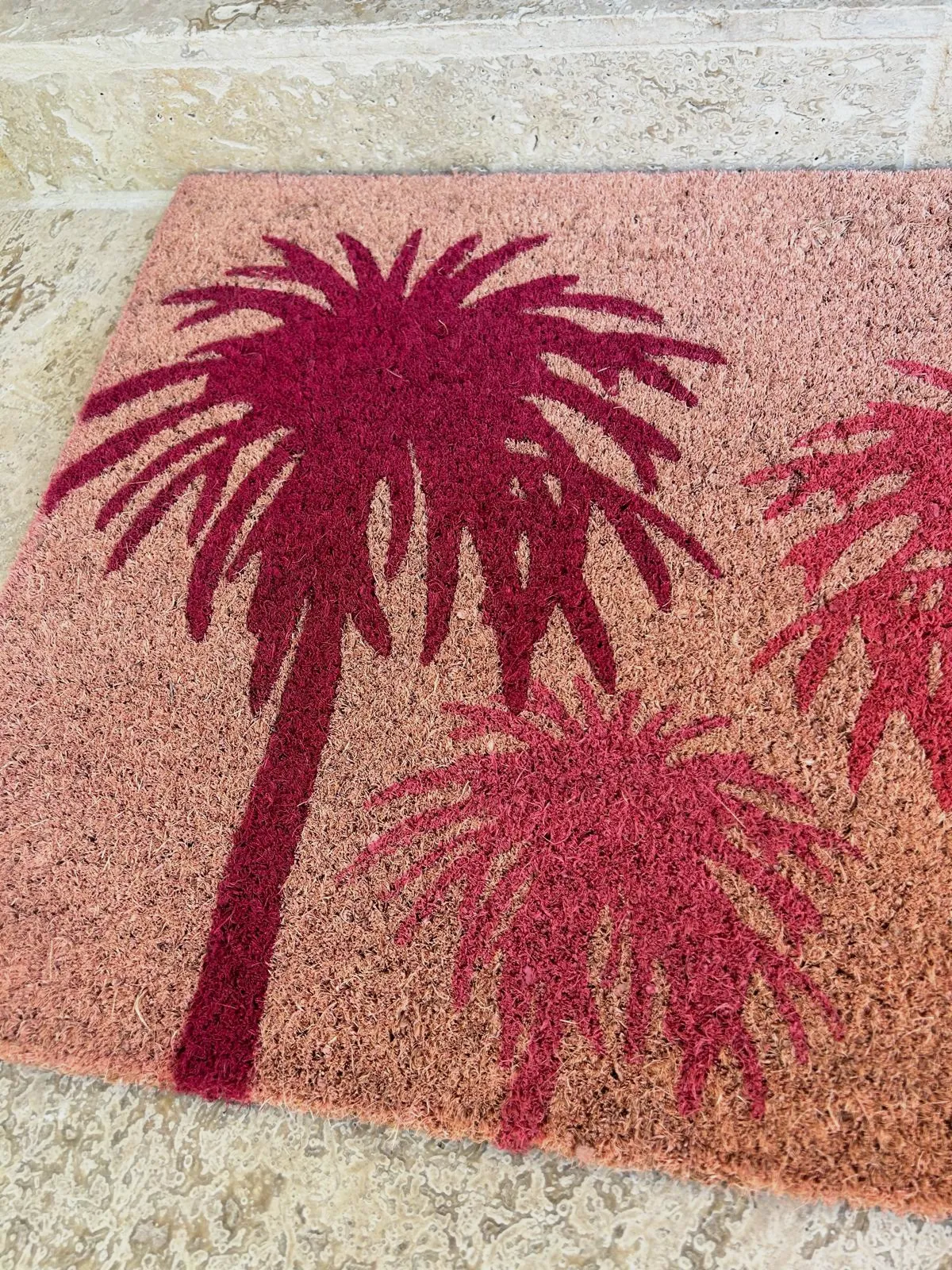 Tapis d'entrée paillasson – Sans 4