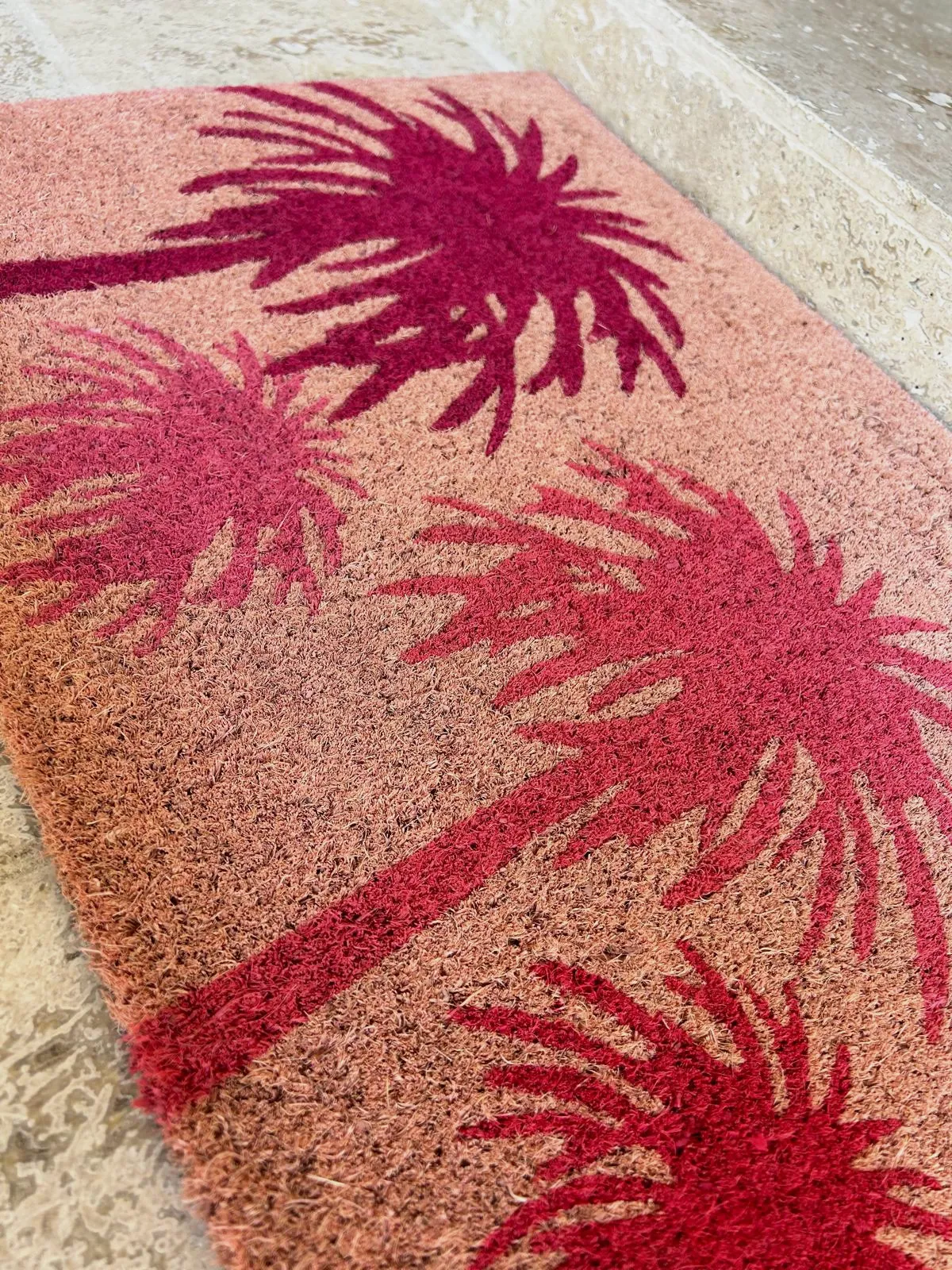 Tapis d'entrée paillasson – Sans 8