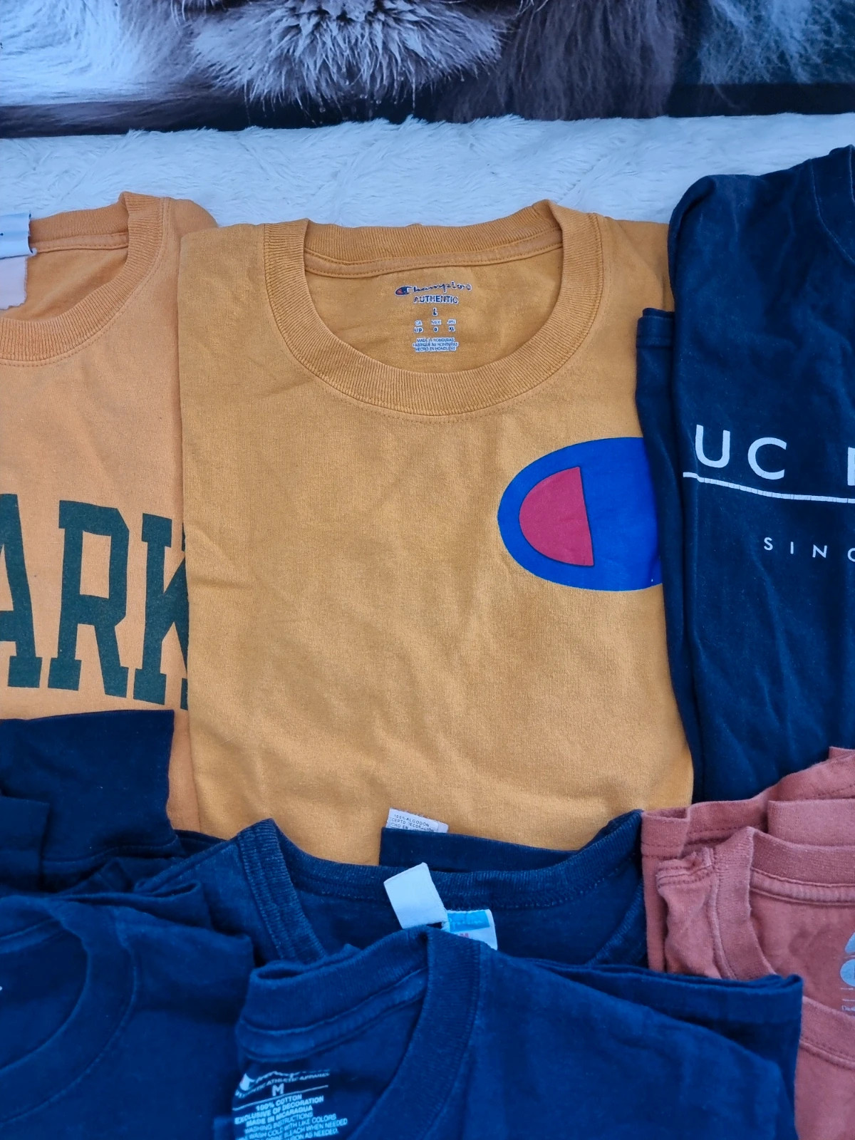Lots t-shirt. Mange courte, manche longue. Taille.:M/L – Champion – taille L 3