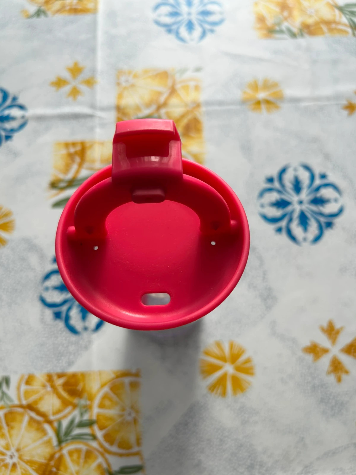 Thermos infusion Thé fitvia – Fitvia 2