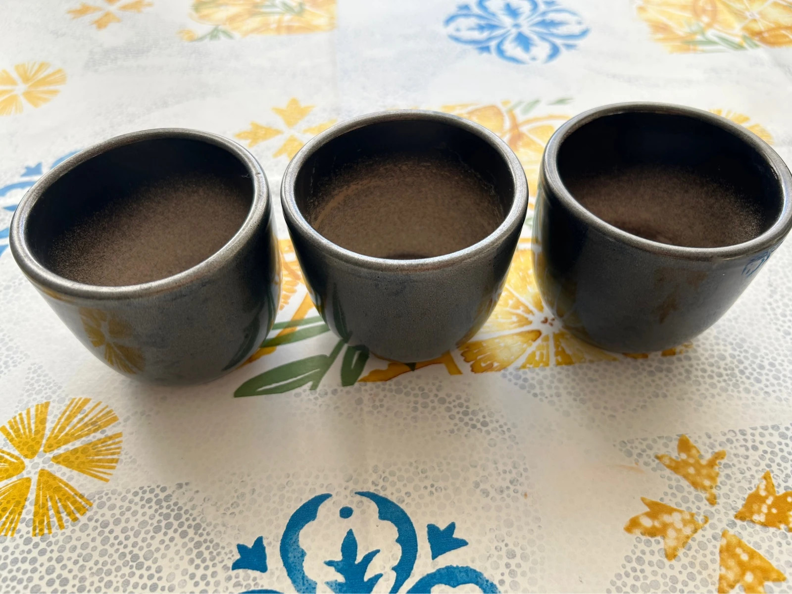 Lot 3 petits pots pour plantes