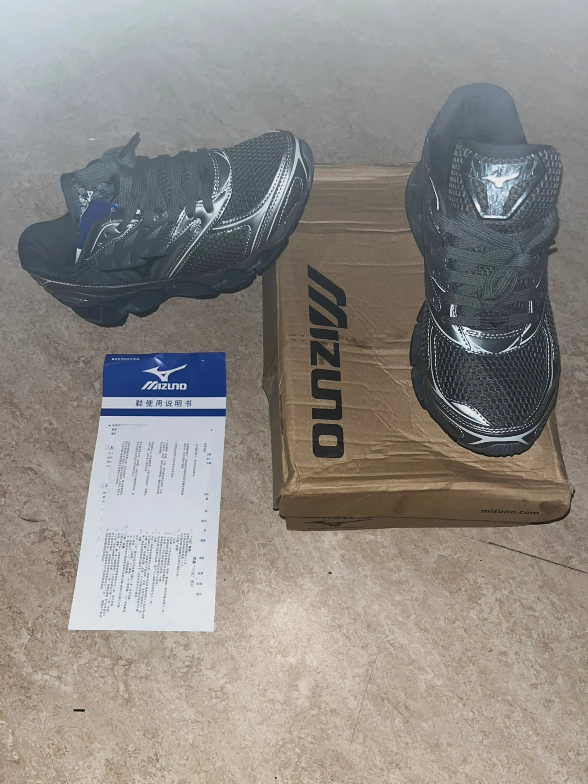 Mizuno wave prophecy 